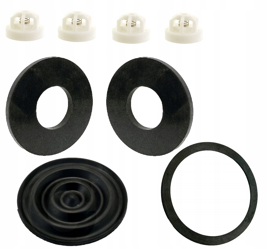 

Zestaw Naprawczy Pompy Pilmet P-60 Opryskiwacz
