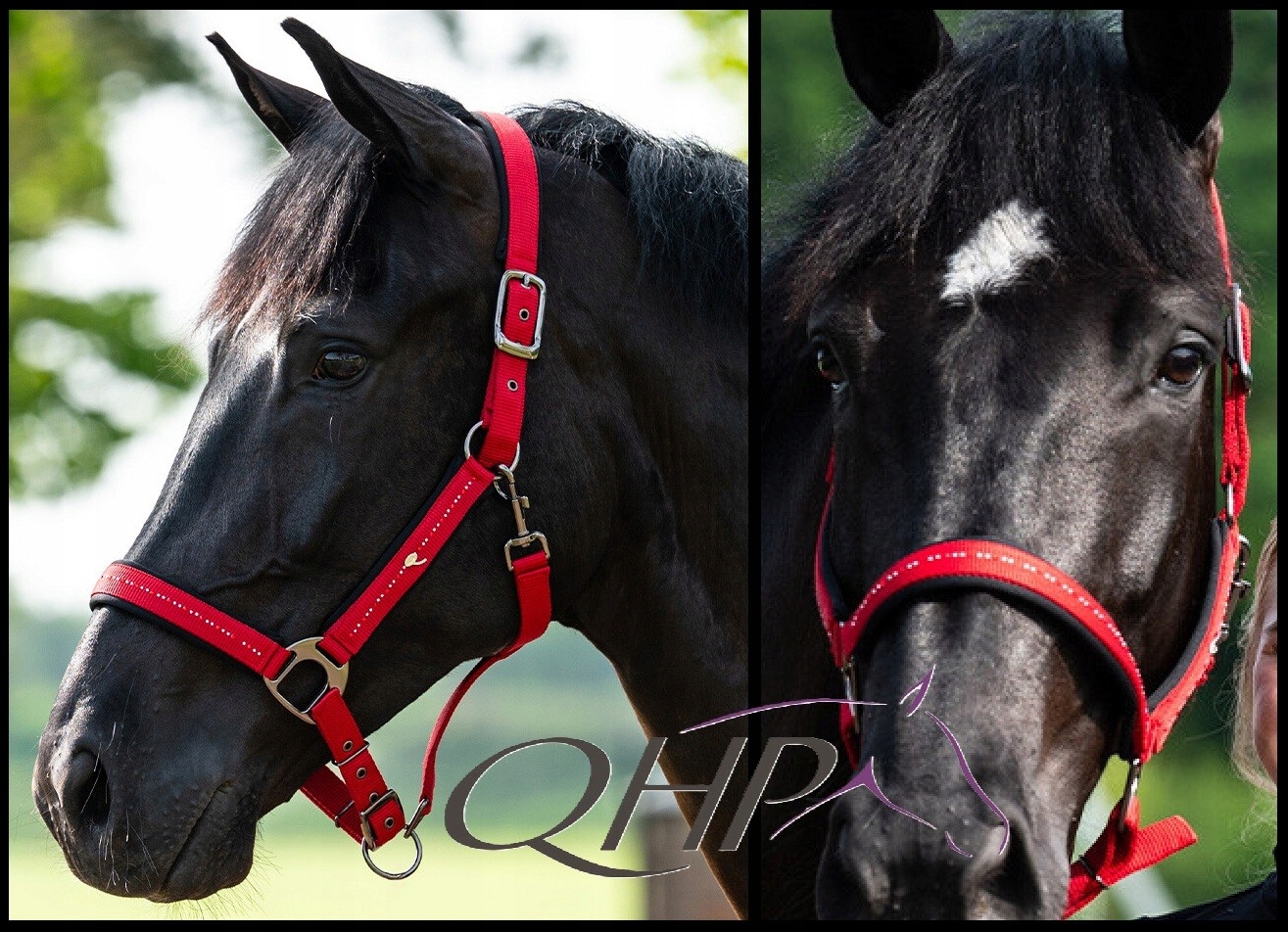 Kantar neoprenem Oakleigh podwójna regulacja Qhp sunset red czerwień Xfull