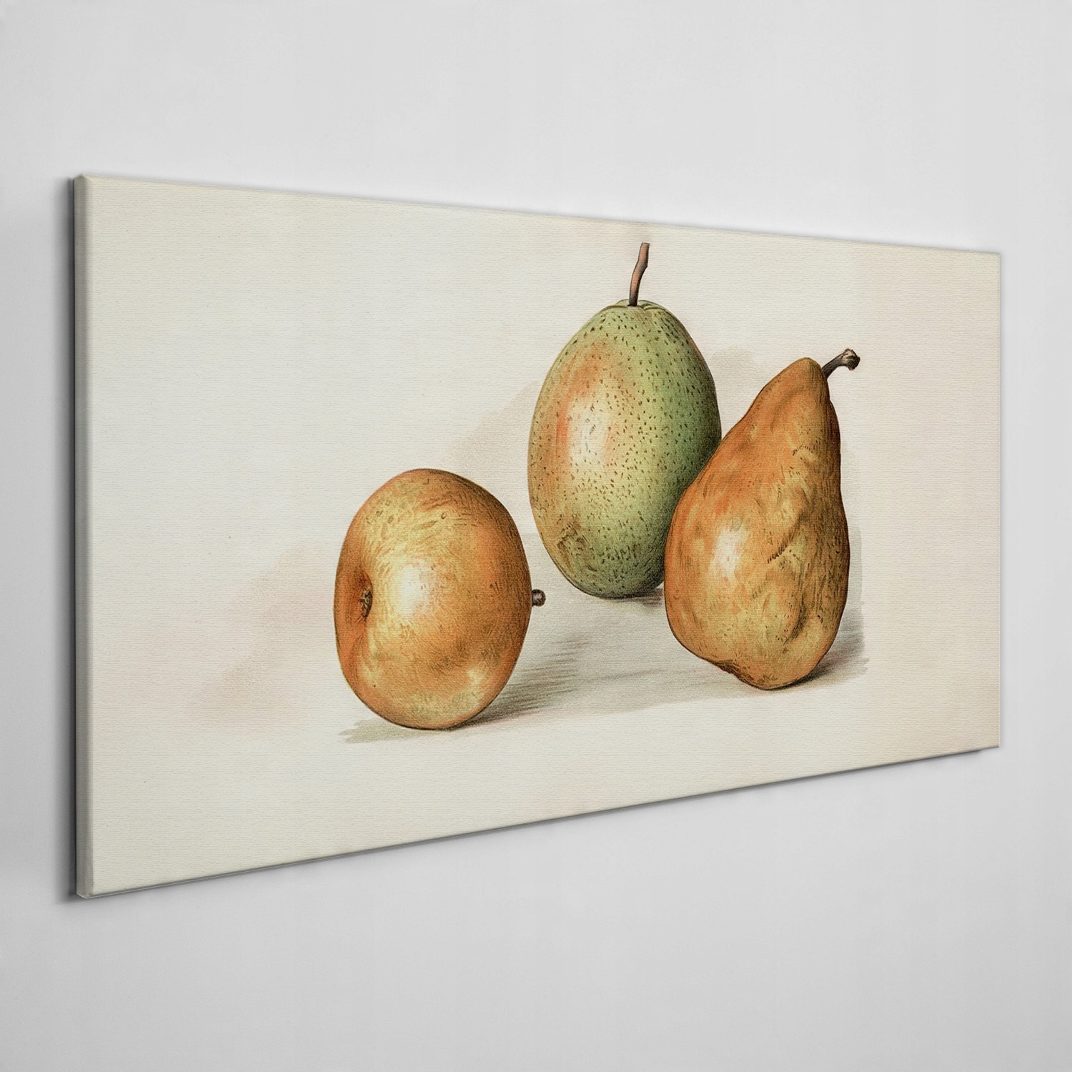 

Foto-obraz na ramie płótno Owoce gruszki 140x70 cm