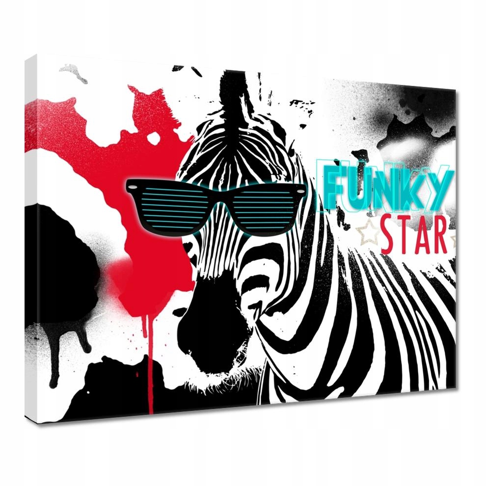 

Obrazy 50x40 Zebra Funky Star