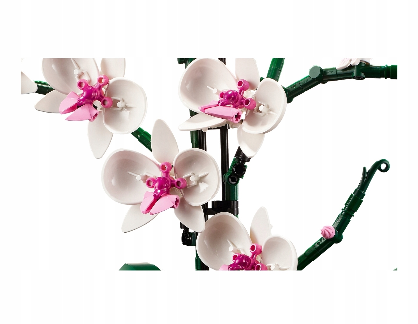 KLOCKI LEGO ICONS 10311 ORCHIDEA Płeć chłopcy dziewczynki