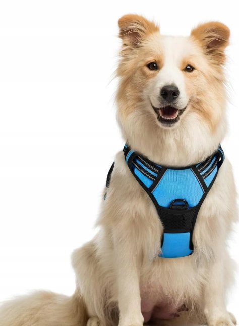 Levně Postroj Pro Psa Bez Tahání Velikost M Rabbitgoo Reflexní Modrý