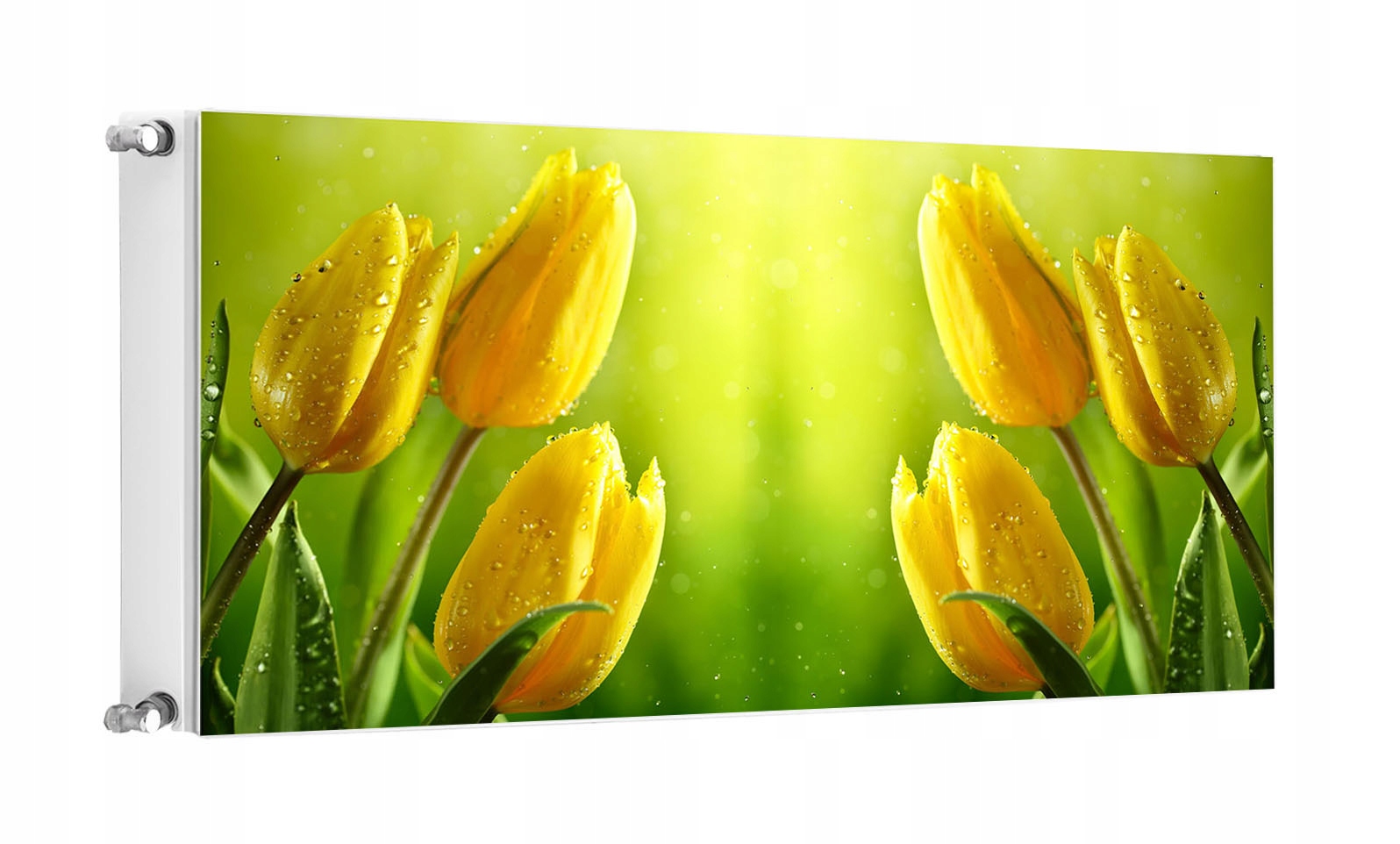 Magnetická Podložka Na Radiátor 120x60 Tulipány Fototapeta