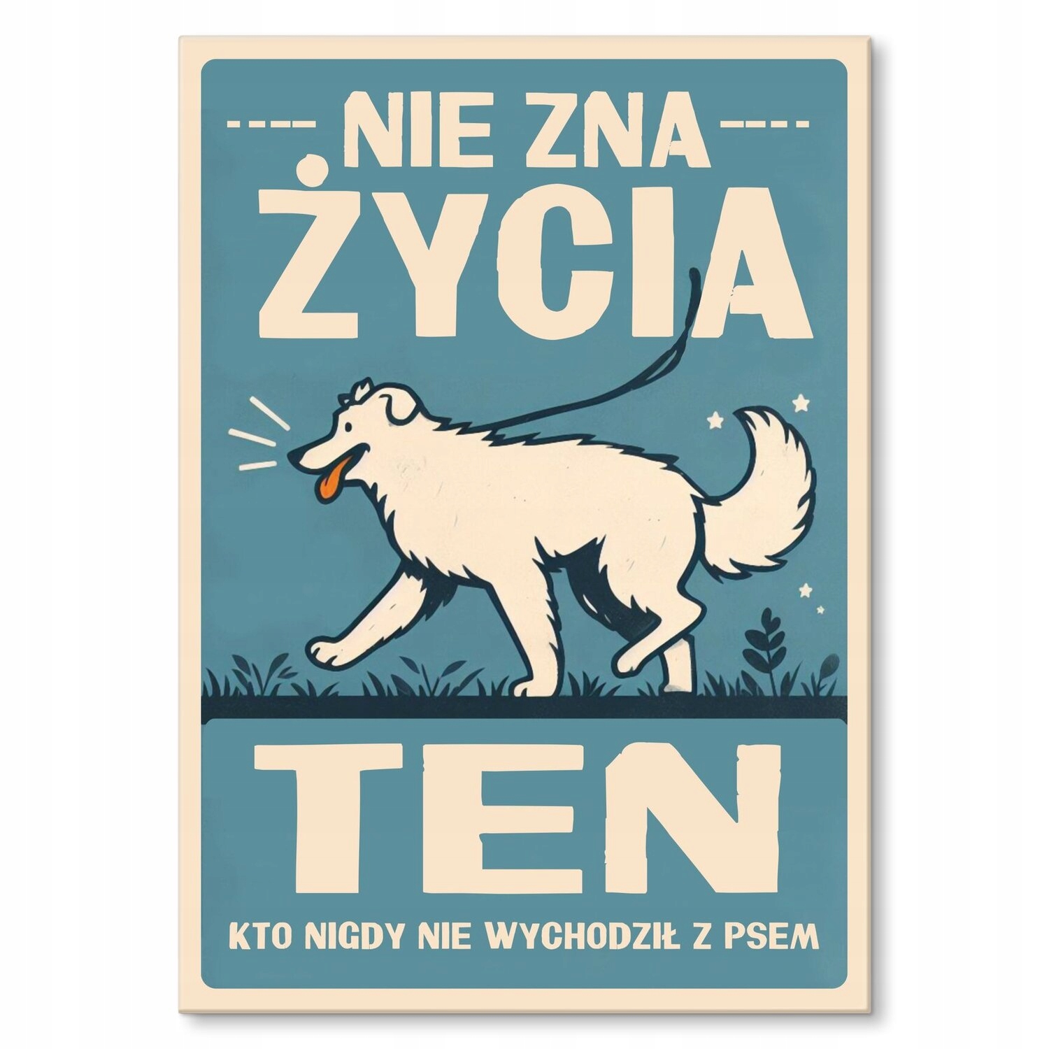 Kovový plakát nezná život, tento Dárek 42 x 59 cm