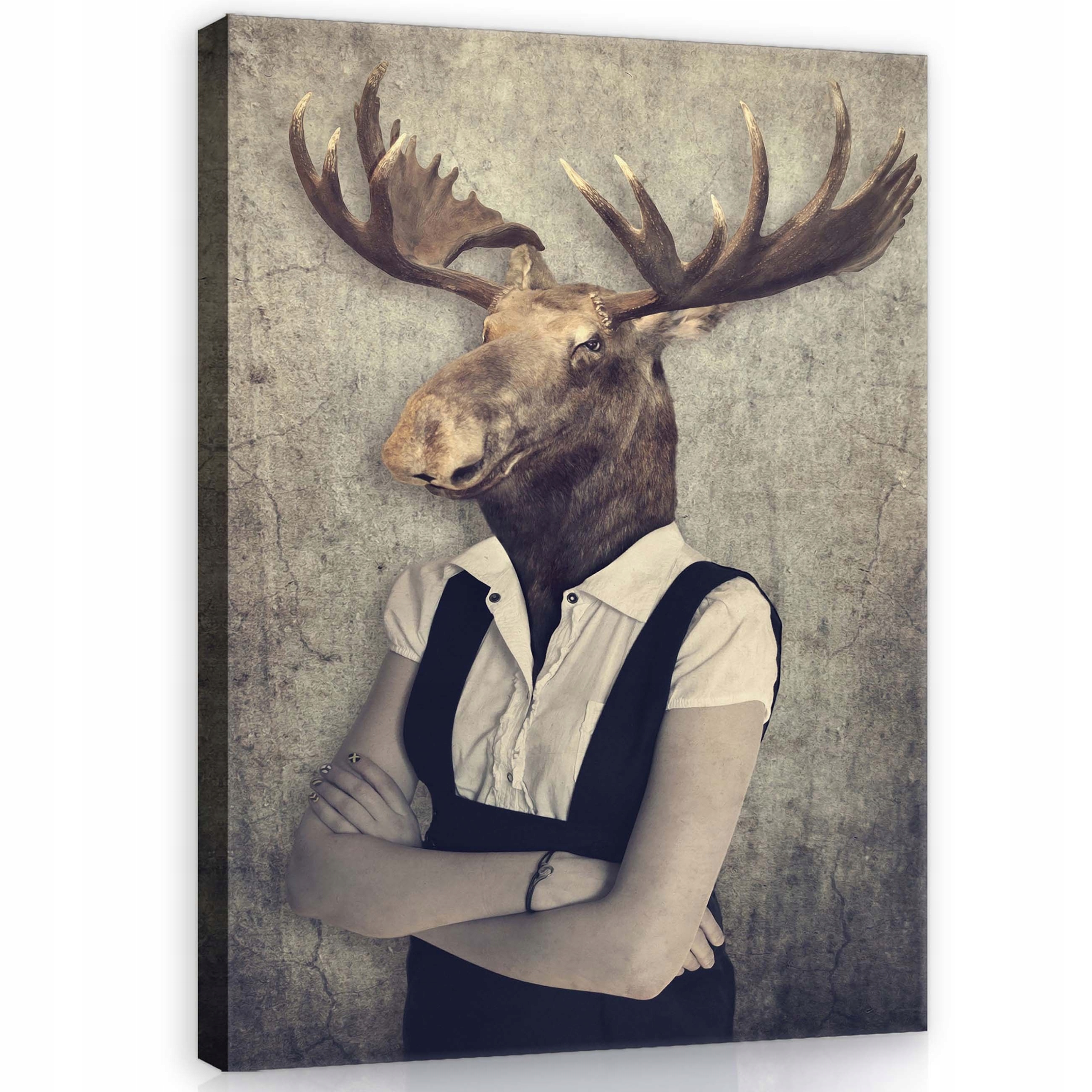 Obraz 60x80 Antropomorfismus los surrealismus ironie melancholie zvíře umění