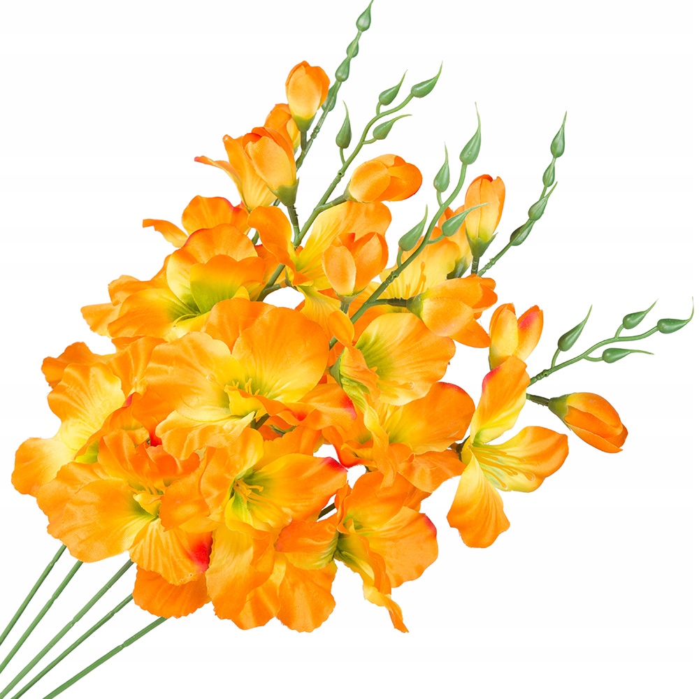 

Mieczyki W Bukiecie Gałązki Kwiatów Mieczyk Kwiat