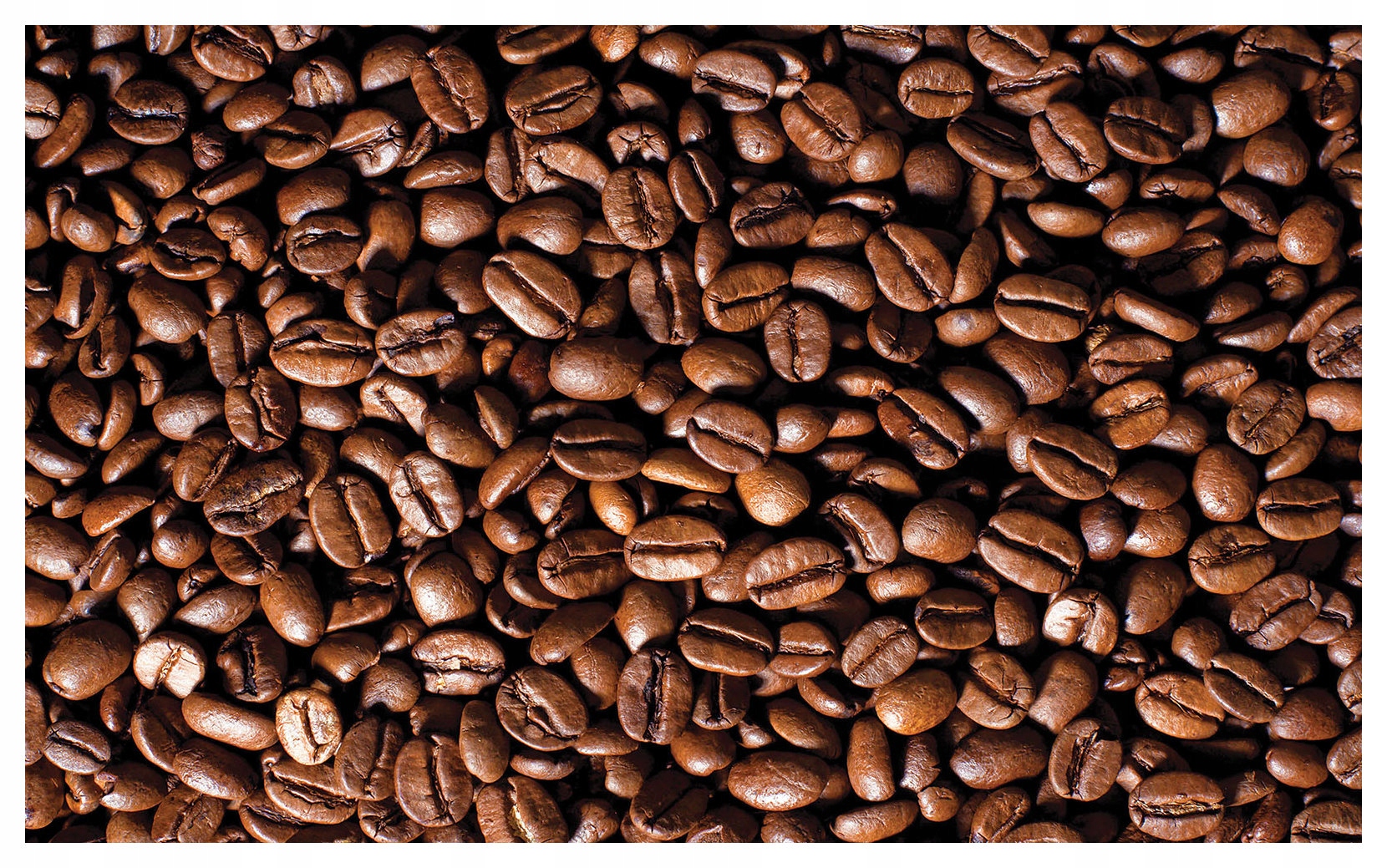 Fototapeta Kávové zrná vinylová textúra 254x184 hnedá mozaika lepidlo