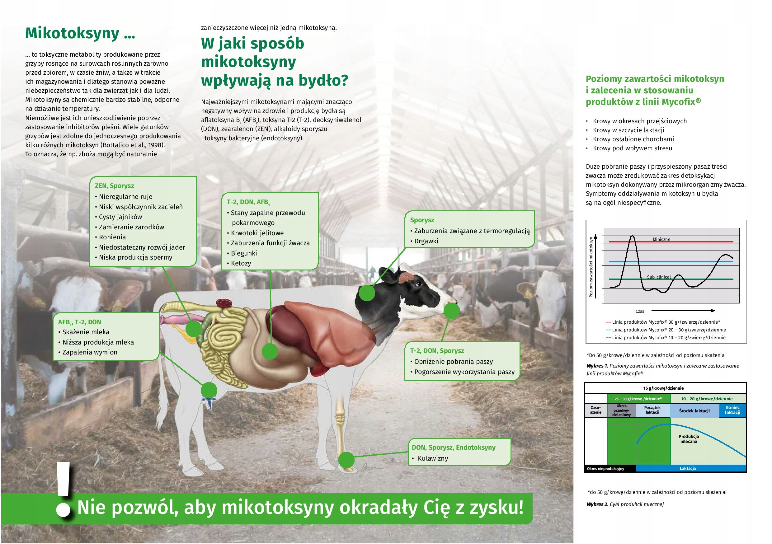 Mycofix Select 3.E-PREPARAT WIĄŻĄCY MYKOTOKSYNY Marka inna