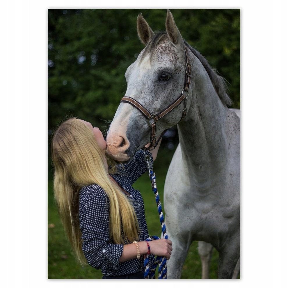 

Plakaty 50x70 Koń Dziewczyna Miłość