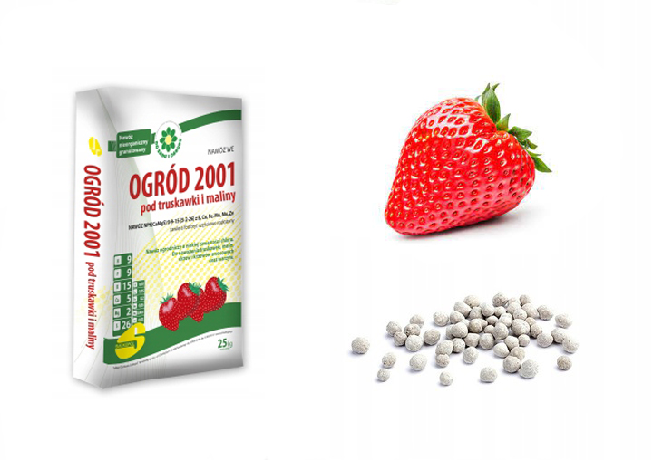 NAWÓZ WIELOSKŁADNIKOWY DO OWOCÓW LEŚNYCH MALIN TRUSKAWEK OGRODOWY MALINY Kod producenta TRUSKAWKA MALINA OGRÓD NAWOZY OWOC LEŚNY 5