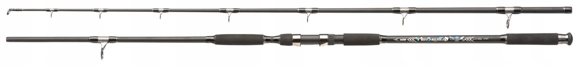 Wędka Sumowa Jaxon Tenesacatfish 2,70m 550g
