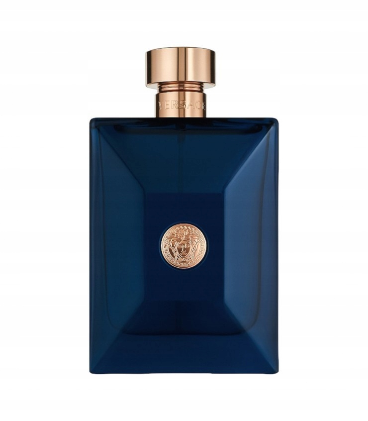 Versace Pour Homme Dylan Blue Eau de Toilette 100 ml