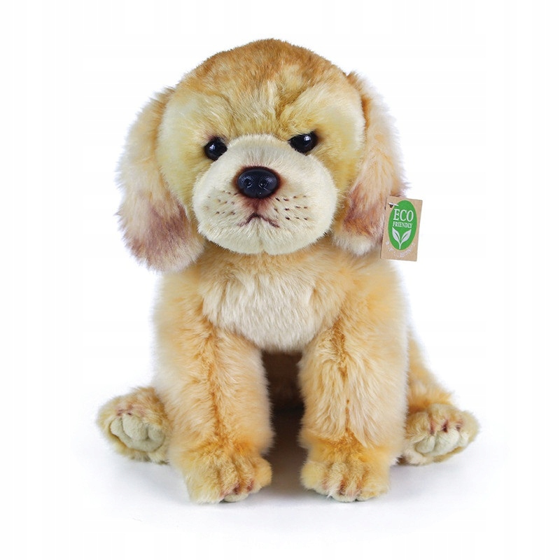 Piesek Labrador Pluszak Maskotka Pies Dla Dziecka Eco Friendly 27 CM Rappa