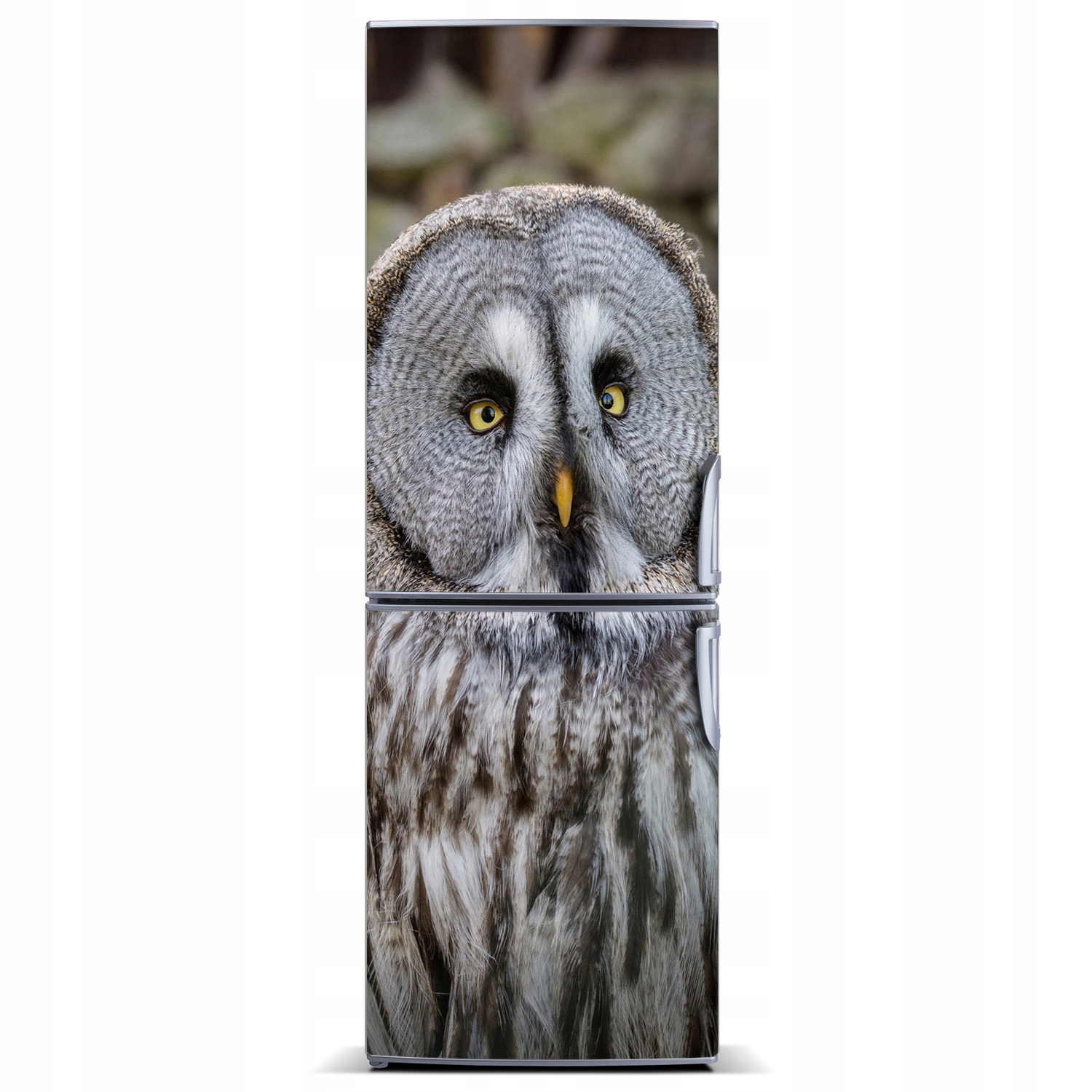 

Naklejka magnetyczna lodówkę ścianę Sowa 60x180