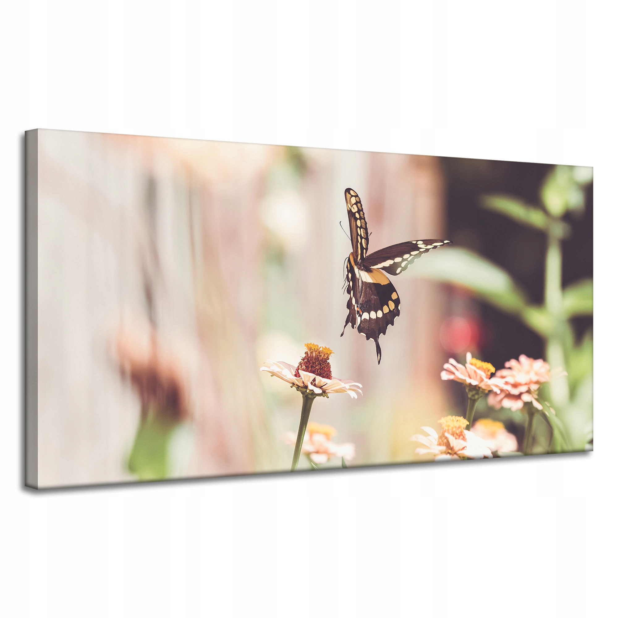 Obraz na plátně Příroda Hmyz Motýl Květiny Jaro Léto 120x60