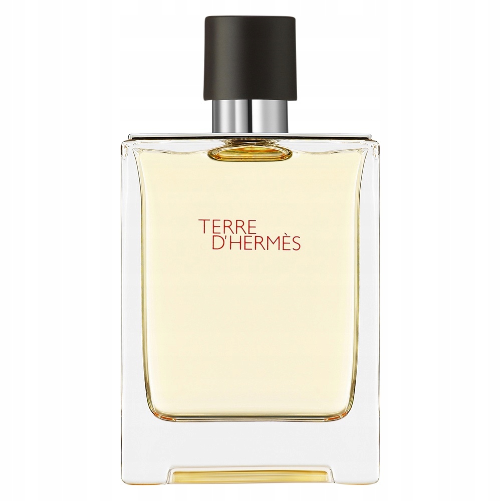Terre D'Hermes Toaletní voda Spray 100 ml Pánská dřevitě-ovocná vůně