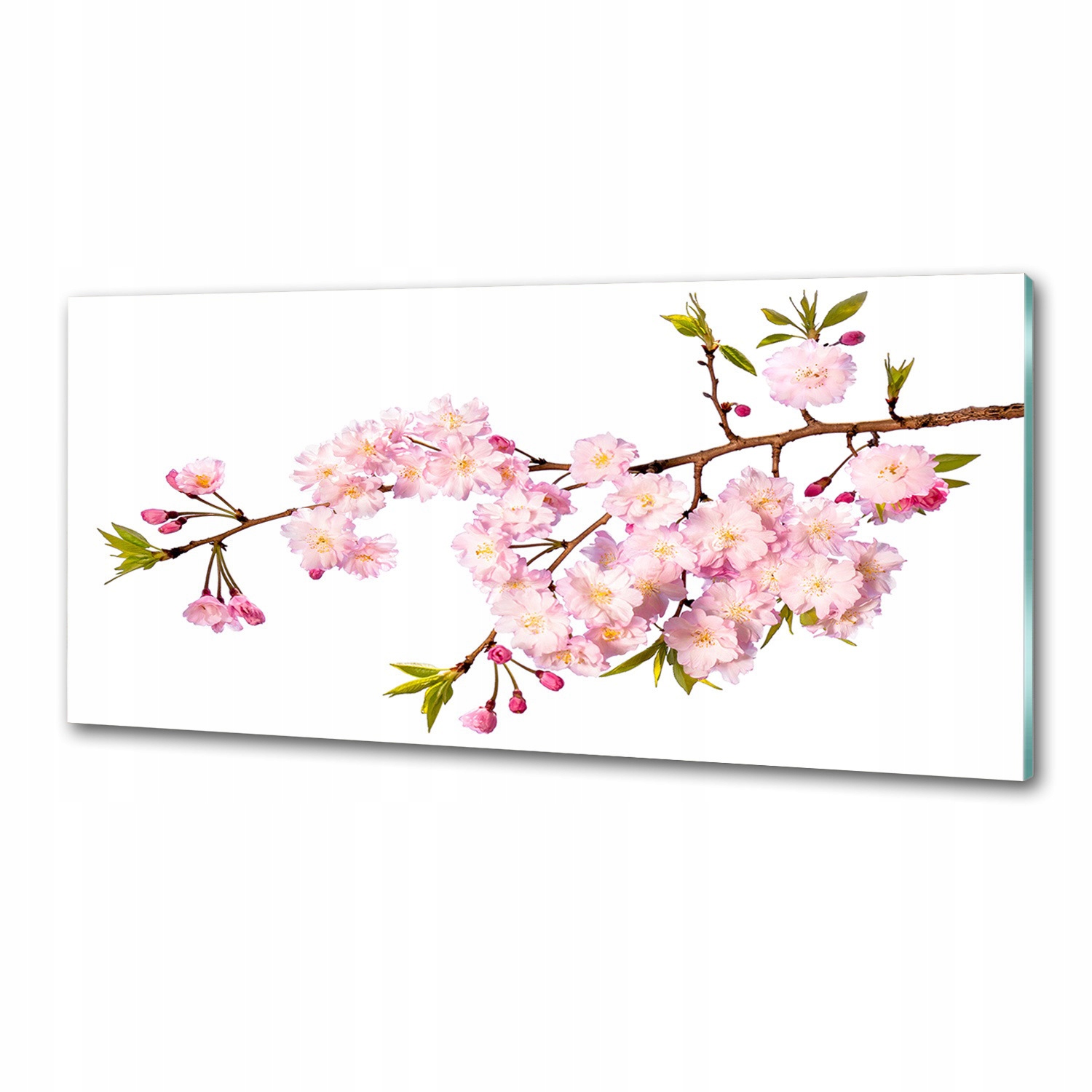 Panel dekor sklo Divoká ruža 125x50 cm Lepidlo