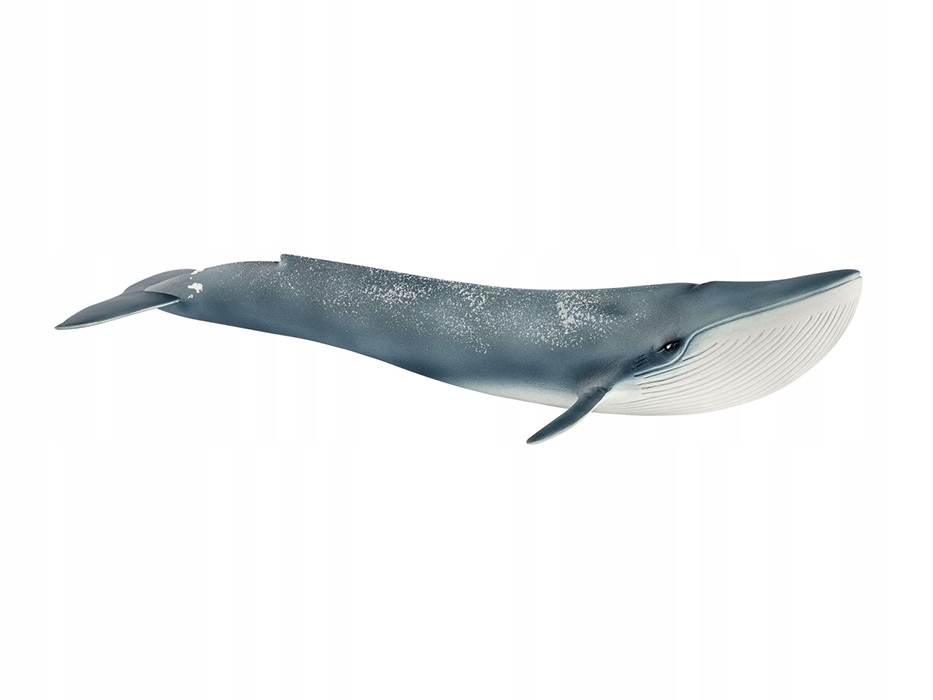 

Schleich Figurka Płetwal błękitny 14806