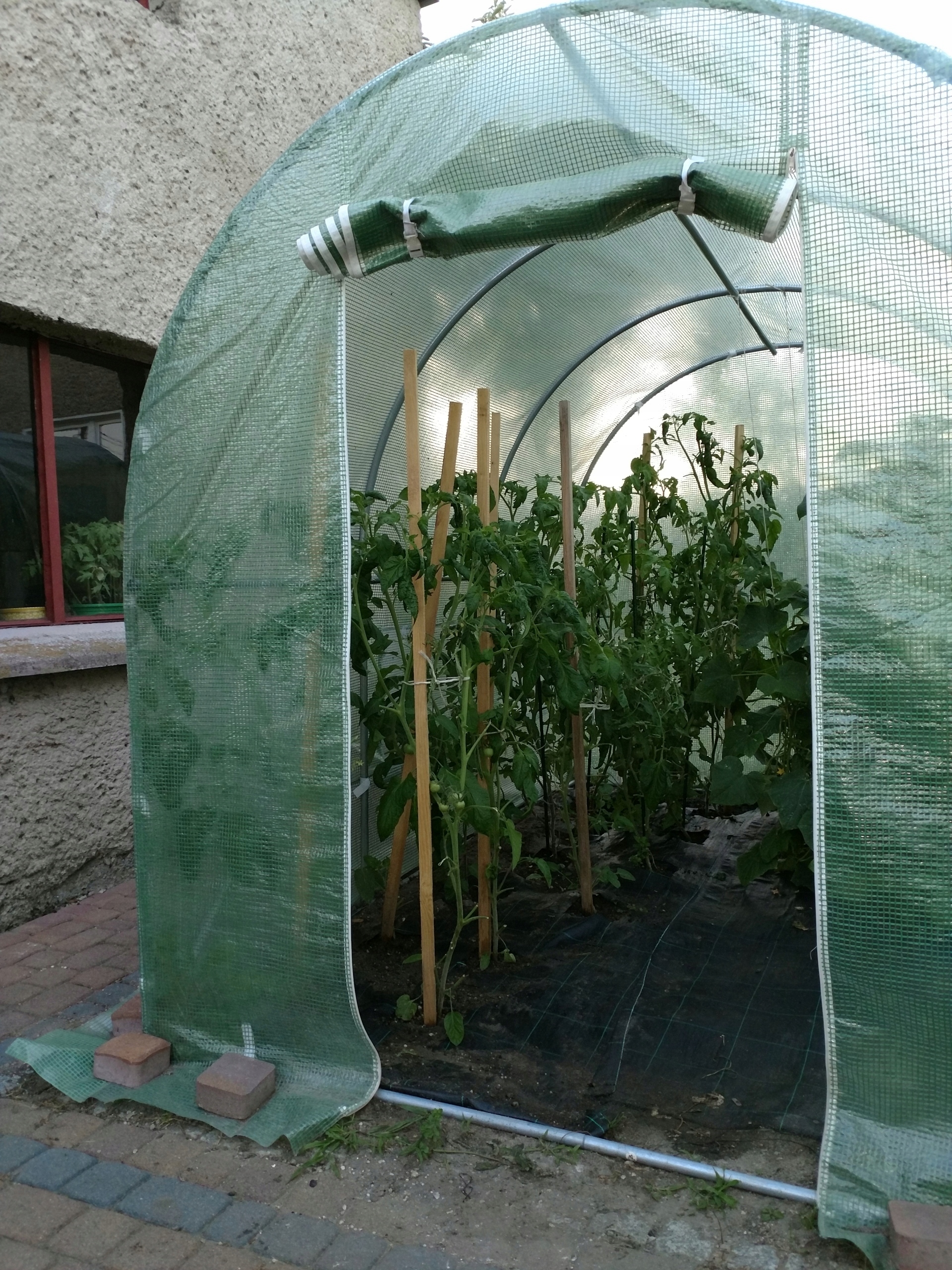 TUNEL FOLIOWY FOLIAK SZKLARNIA NA WARZYWA 2,5x4m Szerokość 2.5 m