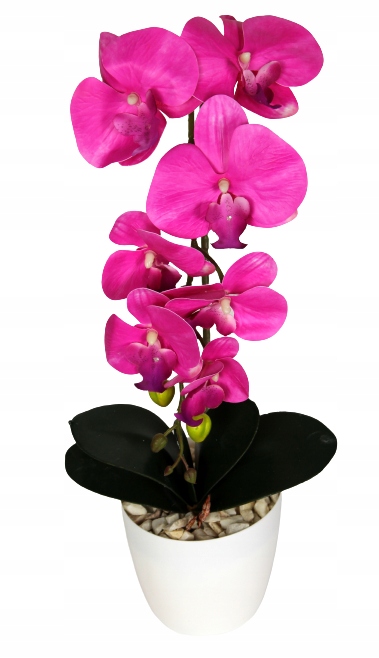 

Storczyk Sztuczny Orchidea Kwiaty Silikonowy