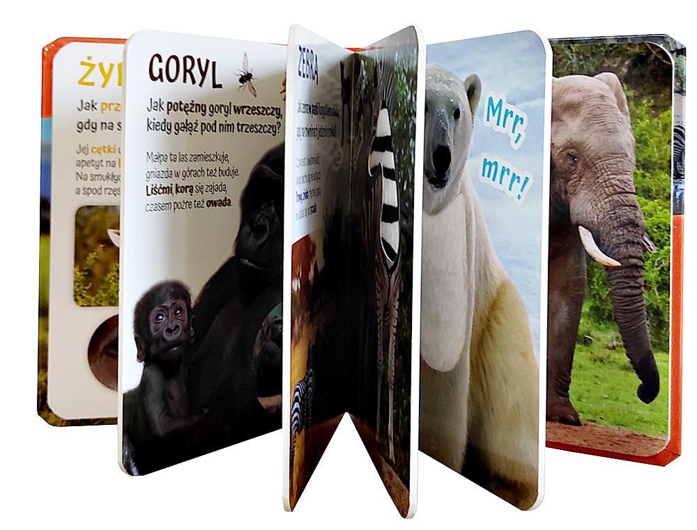 KSIĄŻECZKA KSIĄŻKA POGŁASZCZ ZWIERZĘTA ŚWIATA Kod producenta 811453