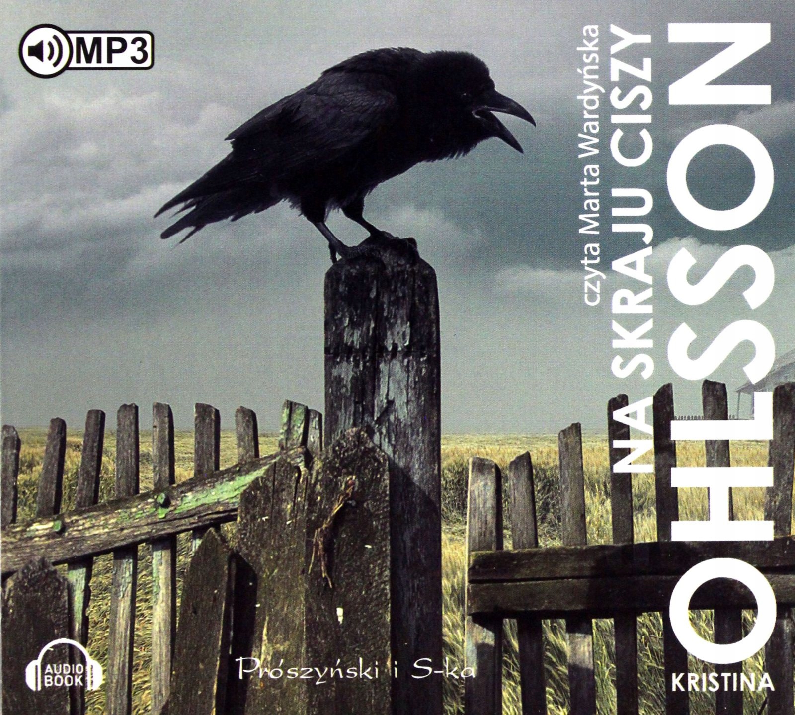 NA SKRAJU CISZY - KRISTINA OHLSSON [AUDIOBOOK]