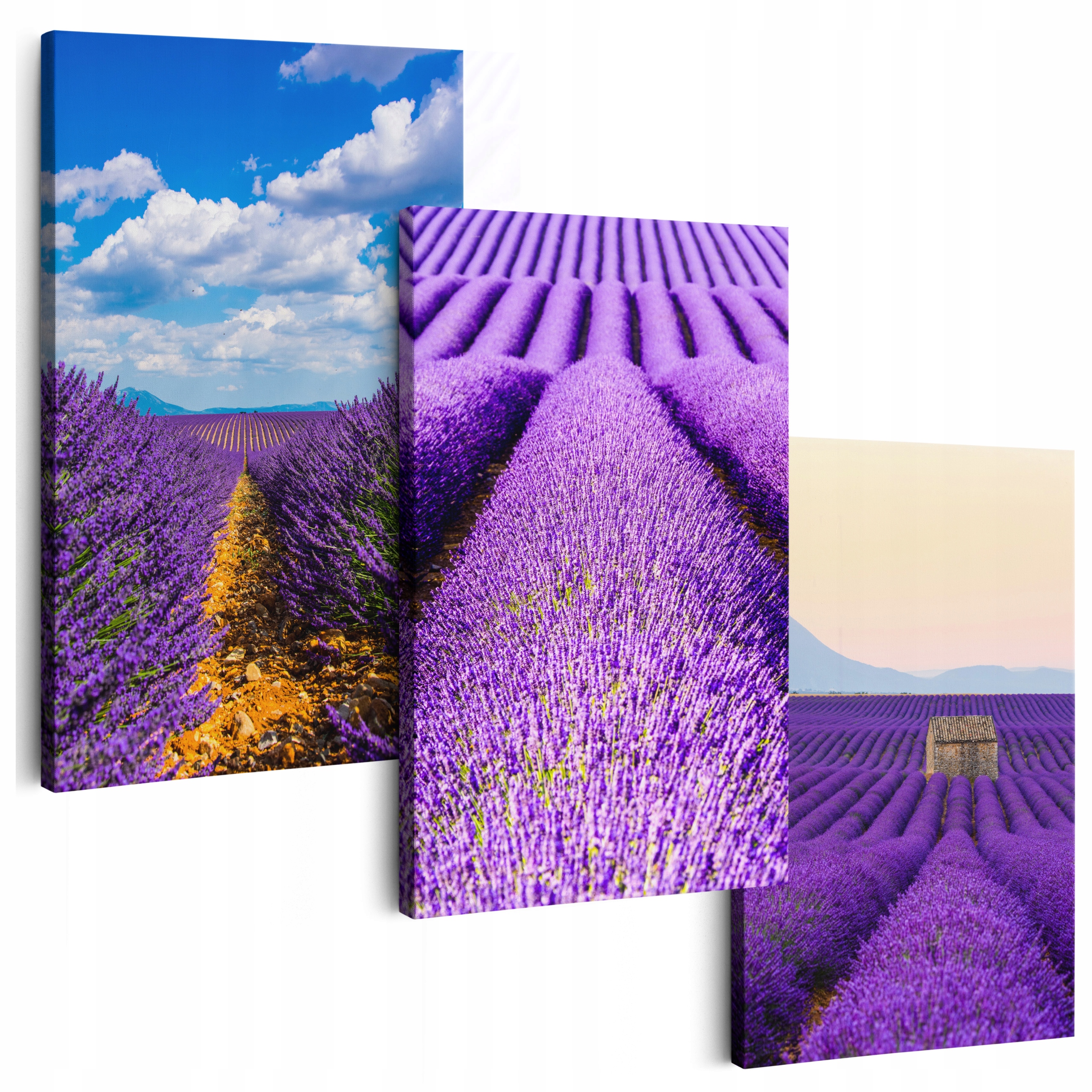 Obraz Na Plátne 180 cm **veľa vzorov** Obrazy Do Salónu Triptyki Kvety