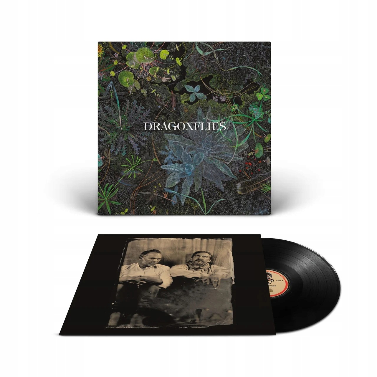 Dragonflies Dragonflies (lp)