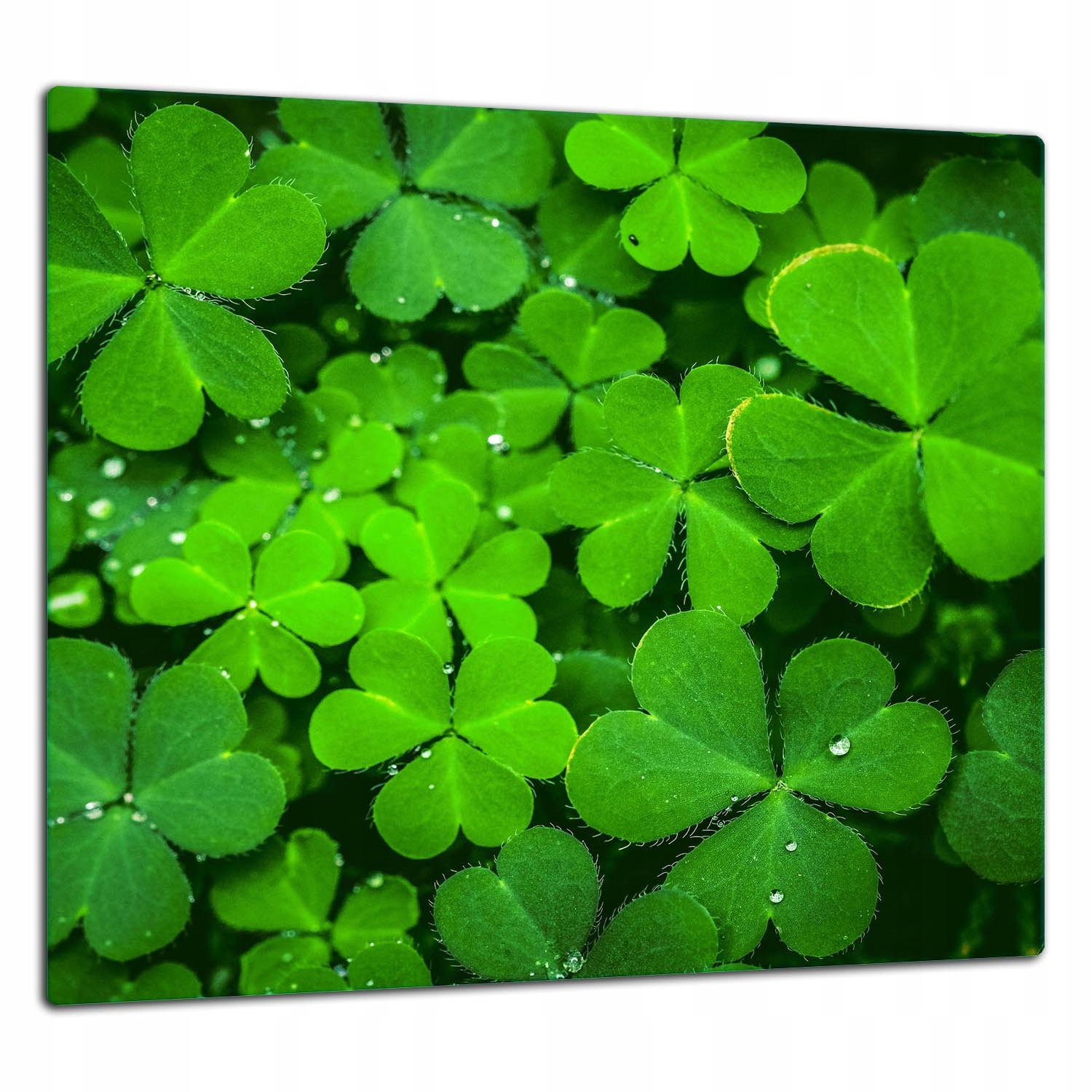Ochranná Skleněná Deska Panel Lepidlo 65x60 Zelená Tvrzené sklo 7v1