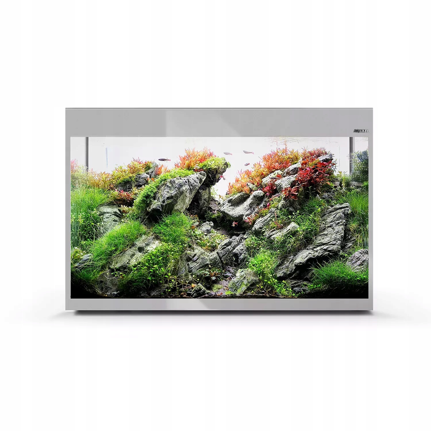 Aquael Zestaw Akwariowy Glossy St 80 D&n Szary