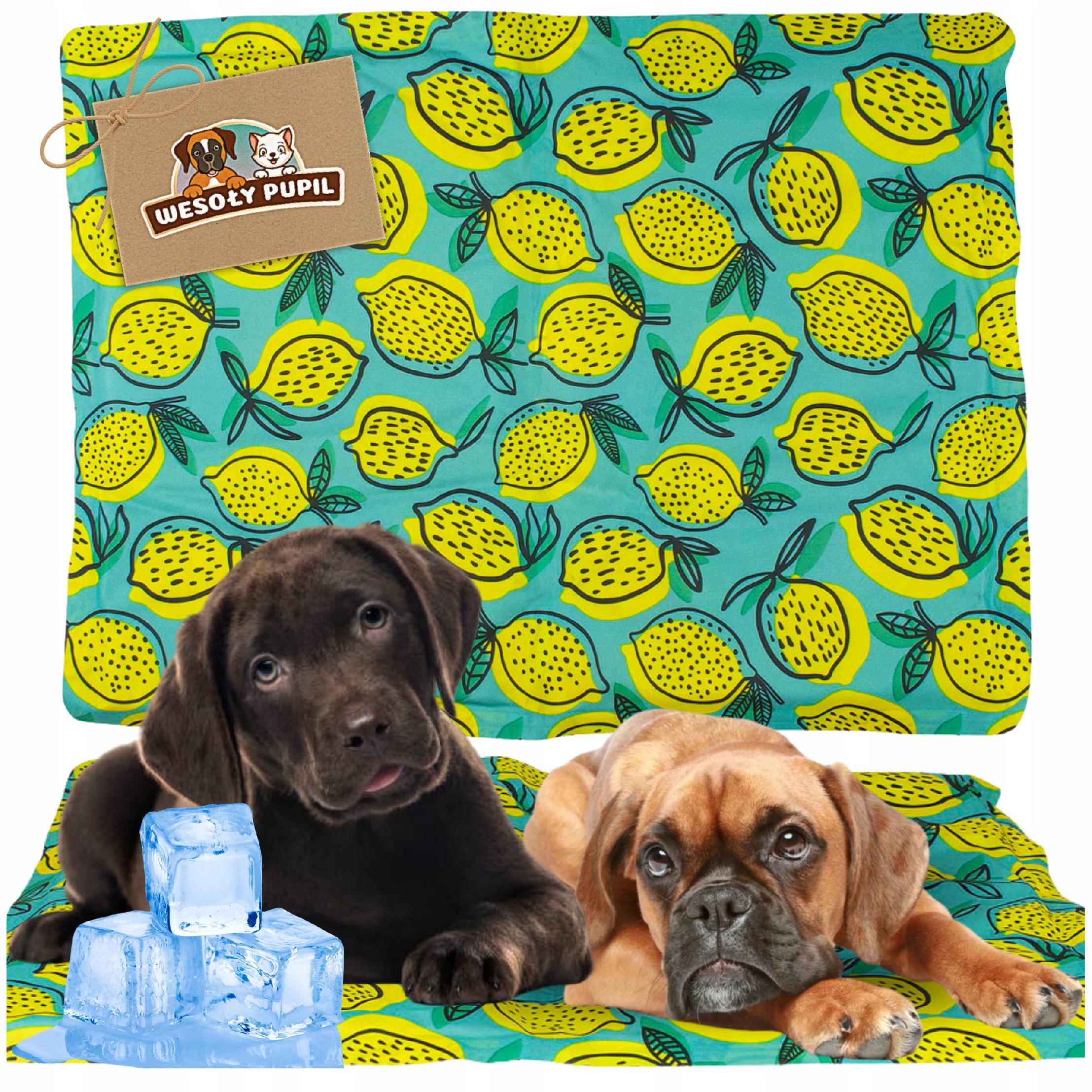 Levně Chladicí podložka pro psy a štěňata, voděodolná, na Léto a Horko, velikost L 90x50 cm