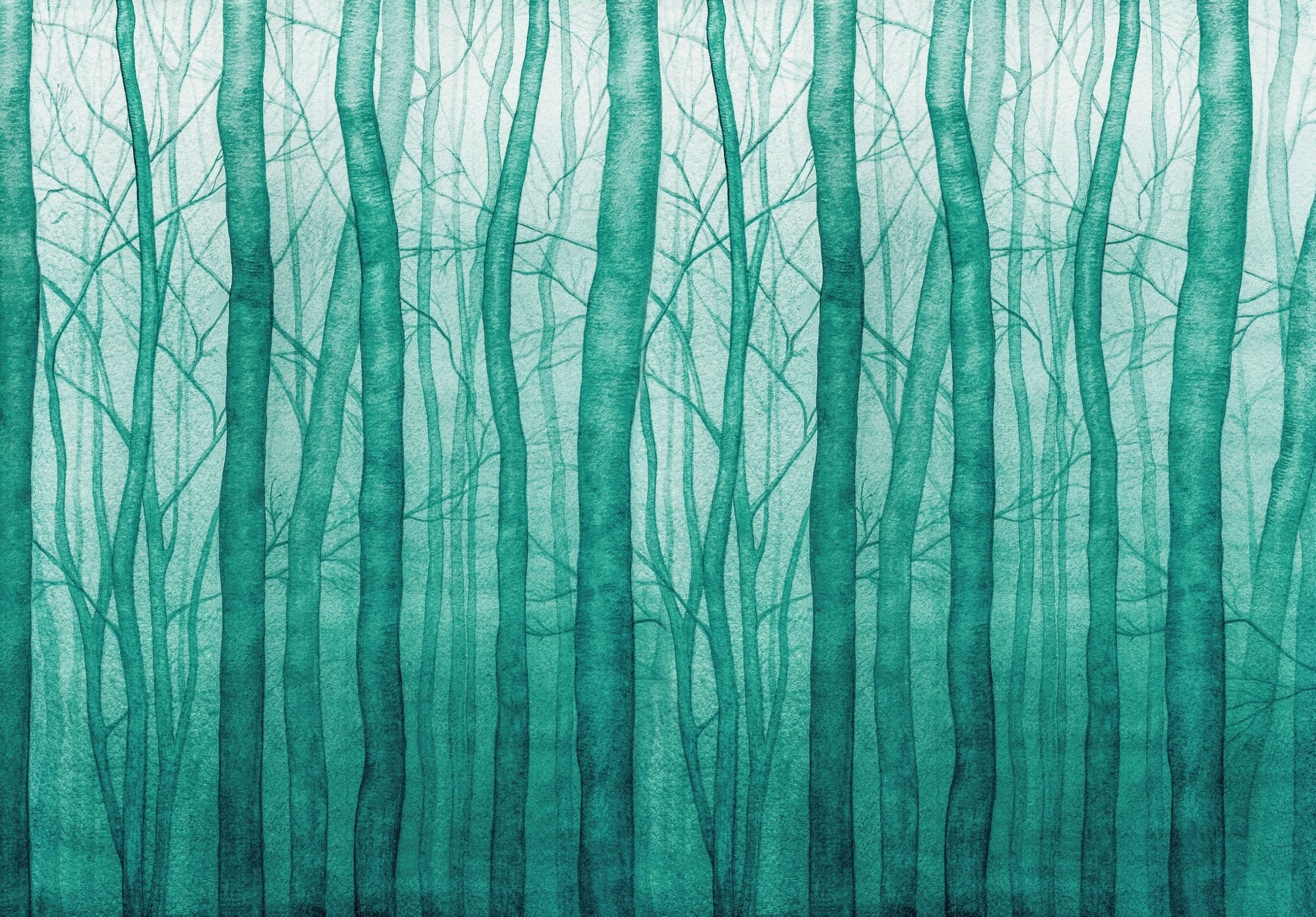 Fototapeta Mlžný les Zeleň tyrkysová Relax Minimalismus 208x146 lepidlo