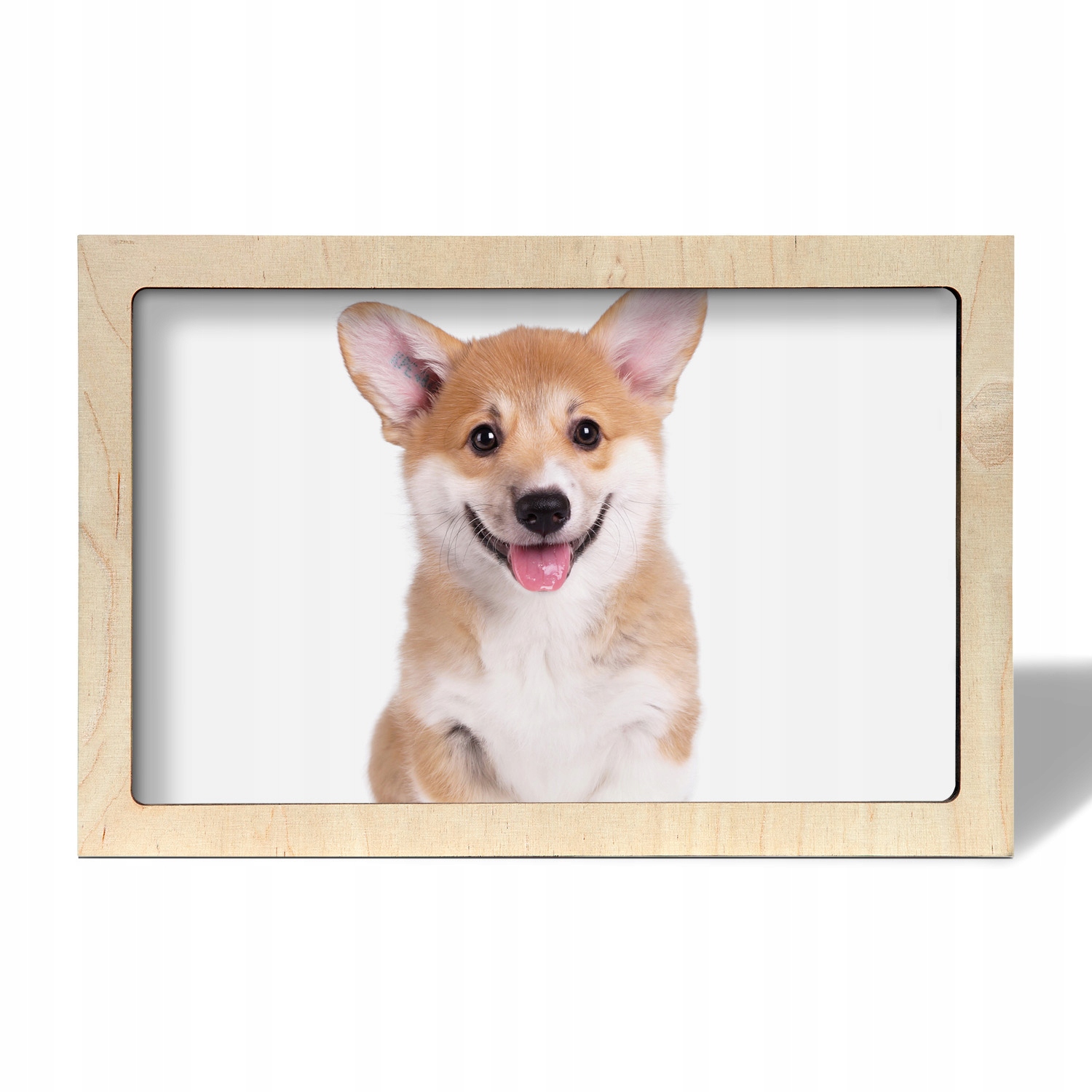 Tištěný obraz v rámečku Pes corgi štěně 30x20