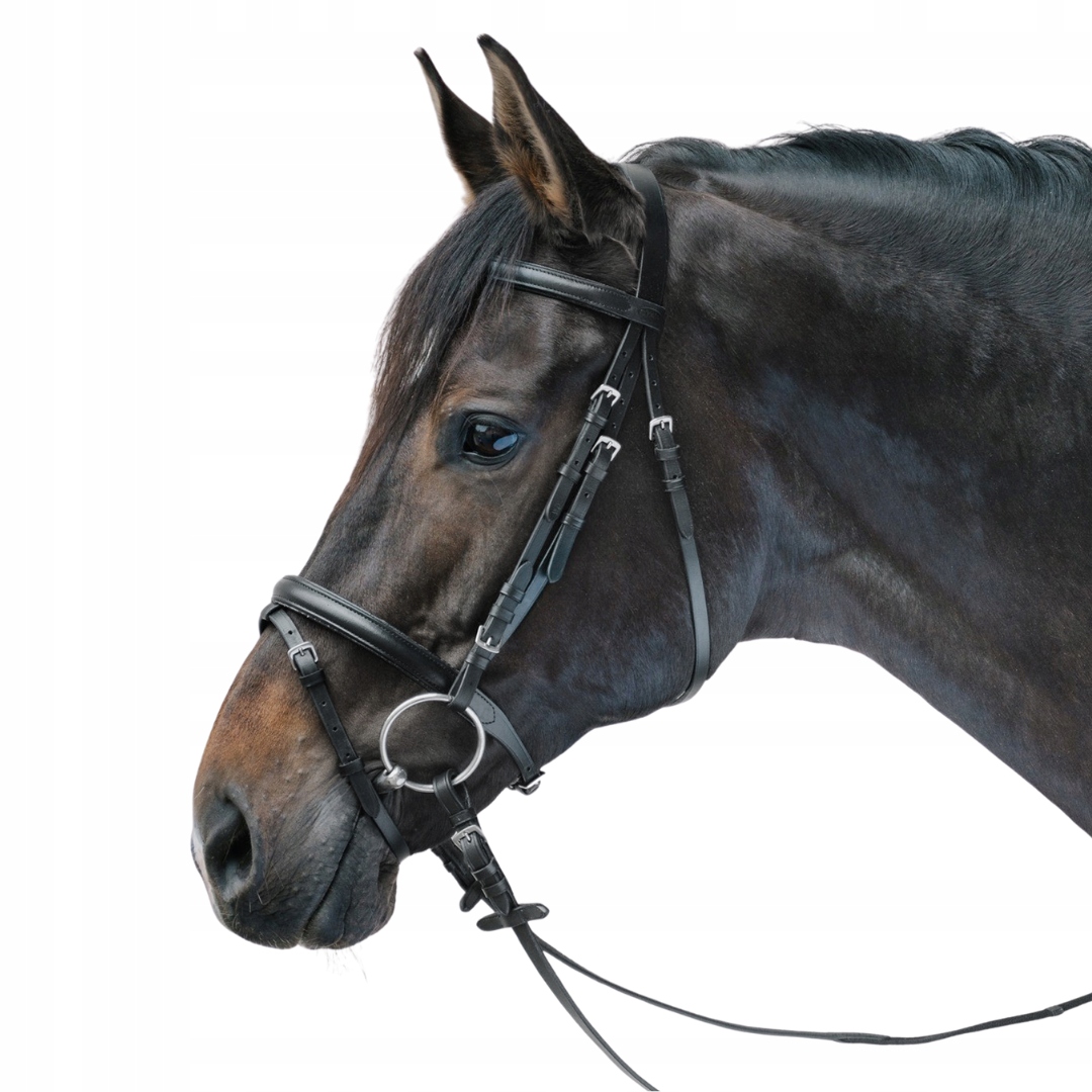 Ohlávka pro koně Lifestyle Star Černý Cob