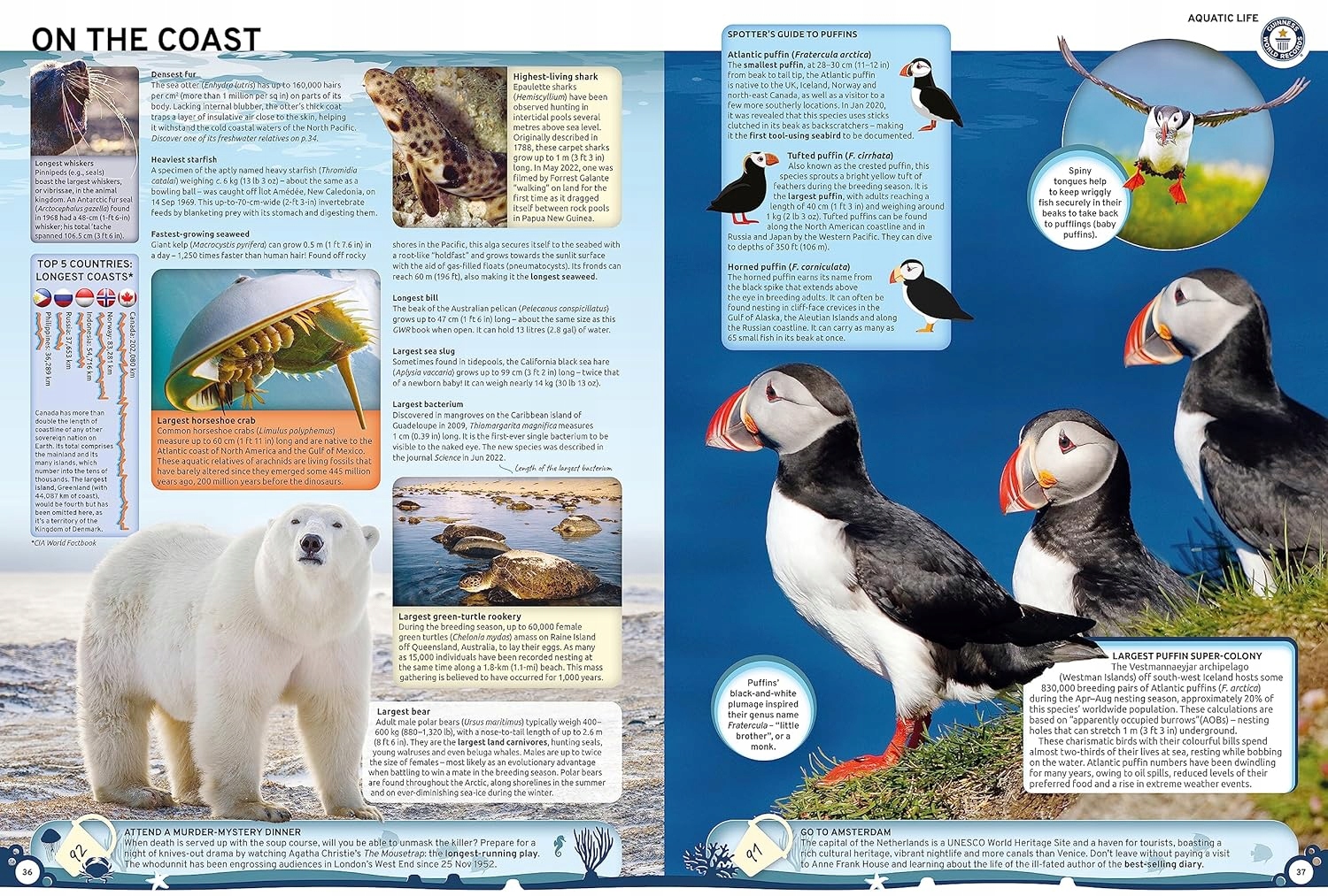 Guinness World Records 2024 Twarda oprawa Tytuł Guinness World Records 2024