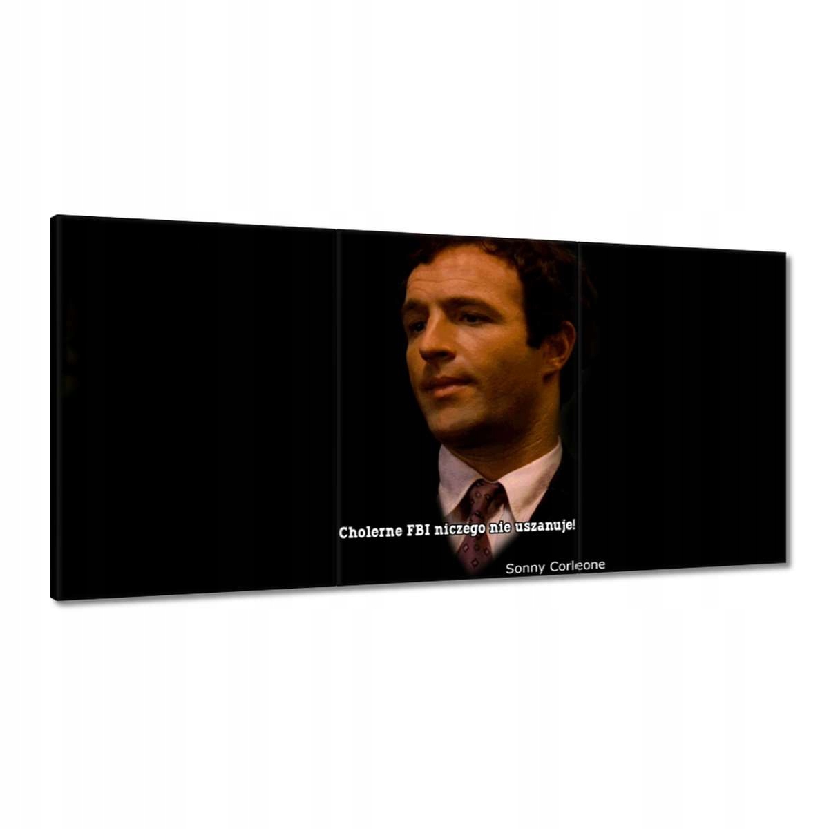 Obrazy 180x90 Godfather Sonny Citáty