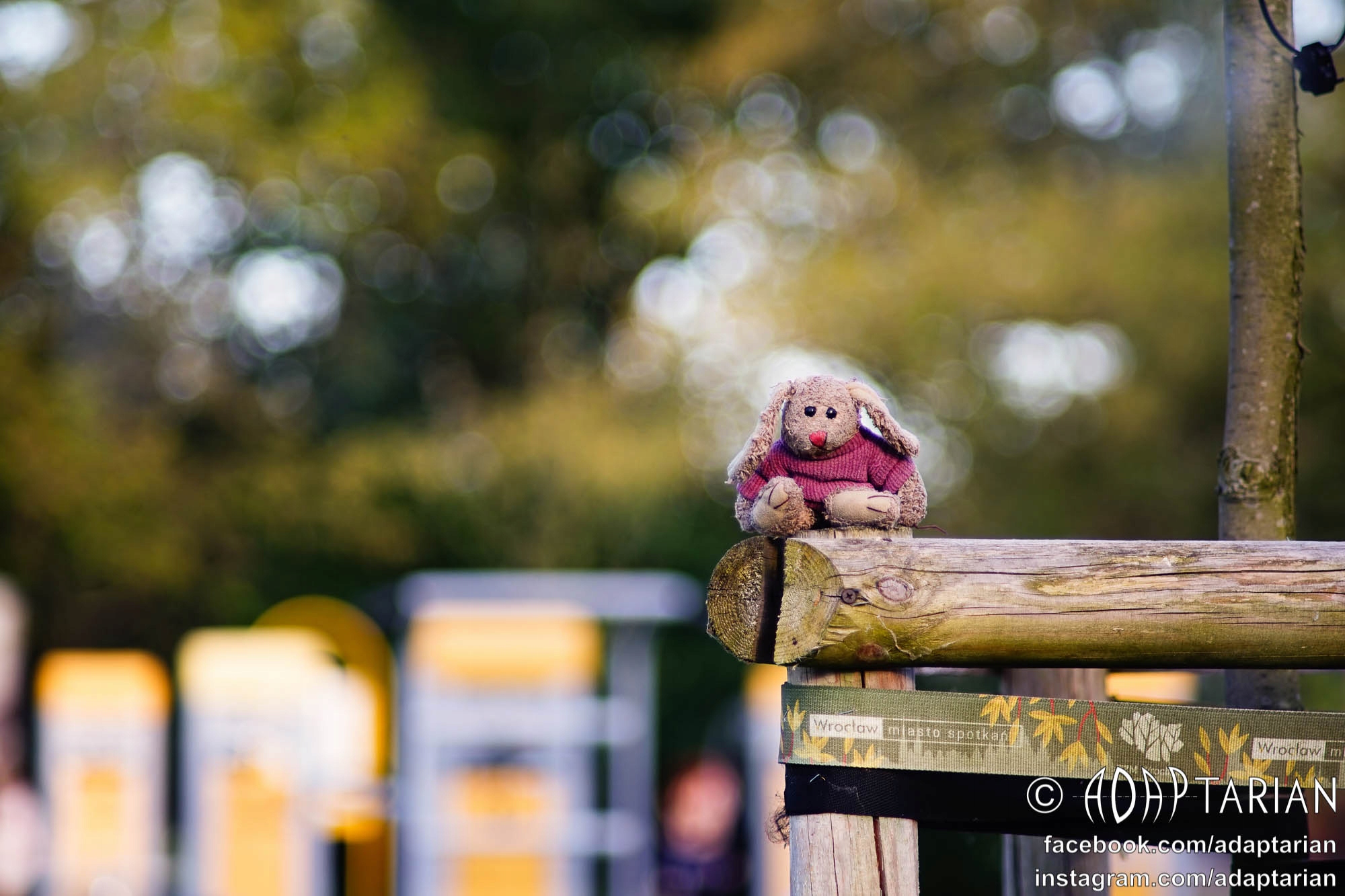 ASANUMA 135/2.8 (jak nowy) + adapter Sony E FE | Ostry - SAMPLE
