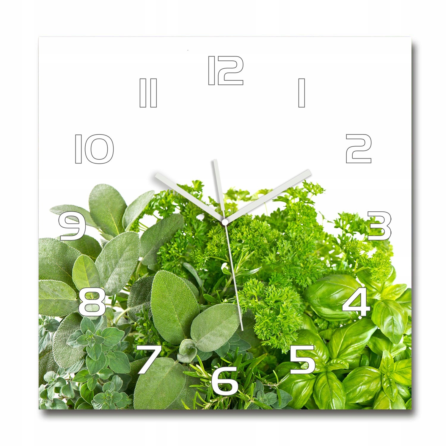 

Szklany zegar, cichy płynący mechanizm Zioła 60x60