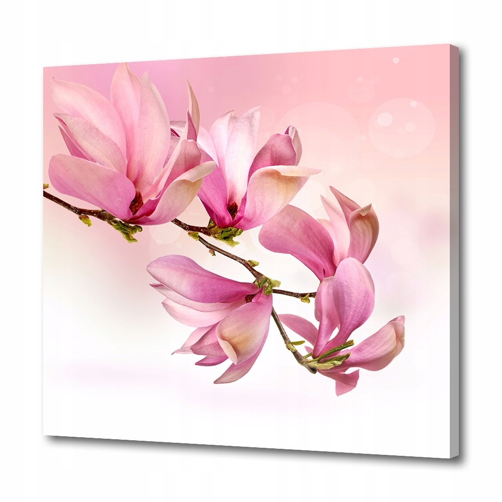 

Foto-obraz na płótnie Magnolia 40x40