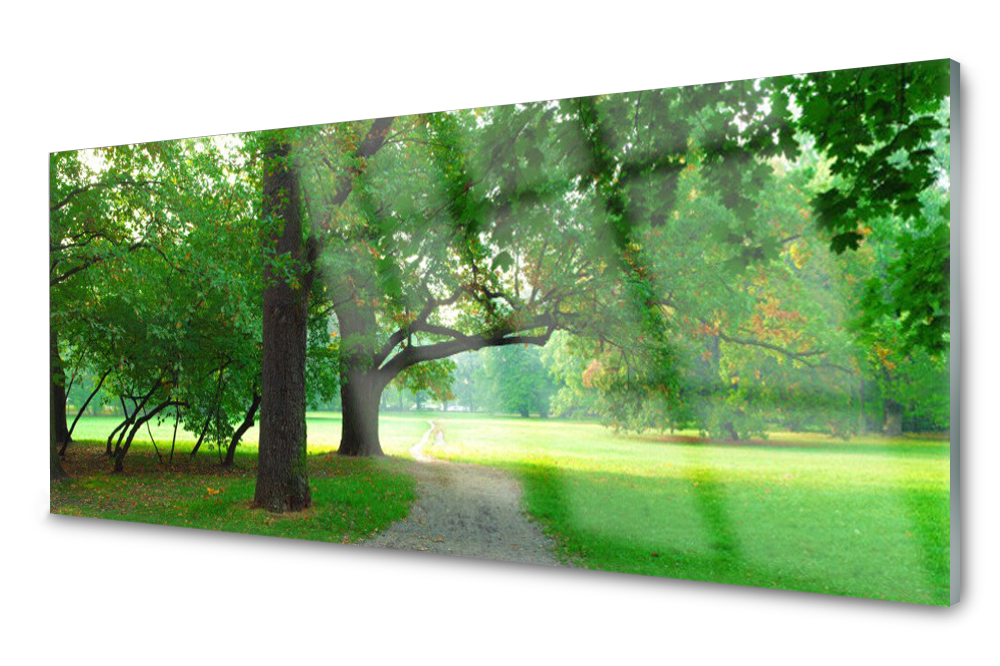 Skleněný panel do kuchyně Stezka Stromy 125x50