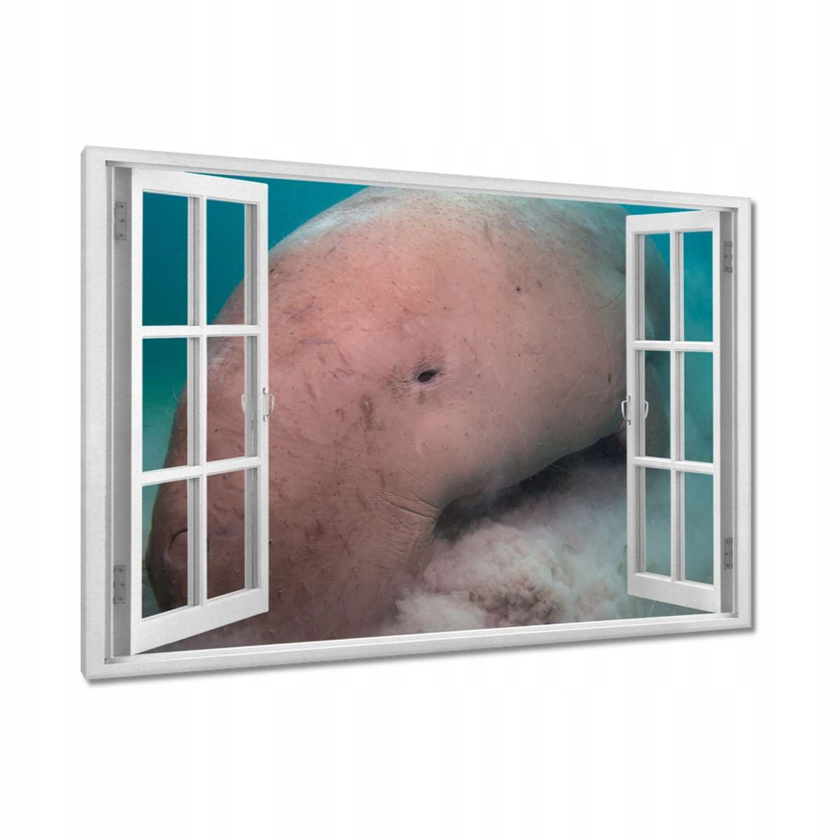 Obrazy 120x80 Zvířata Zvířátka