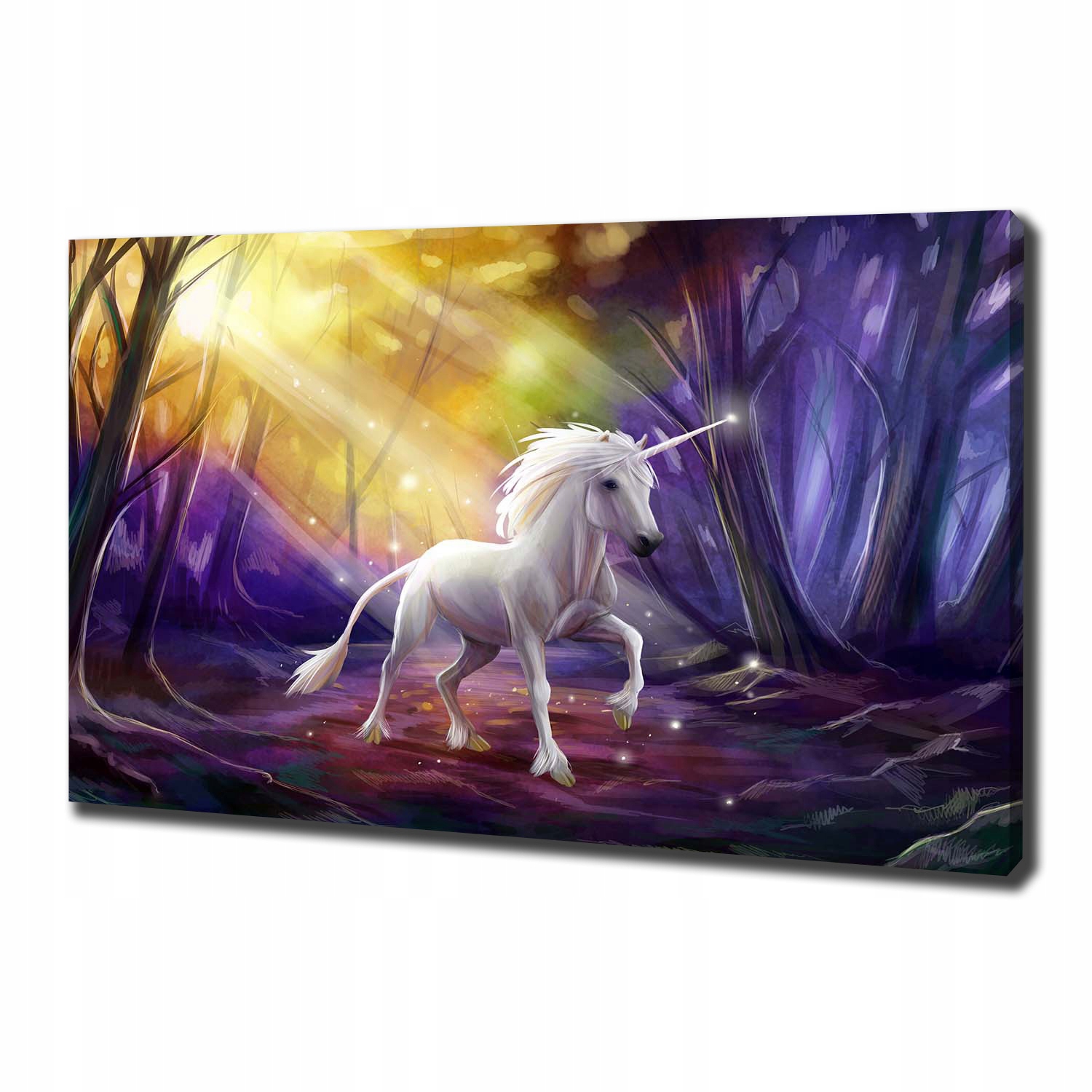 

Foto obraz canvas na ścianę Jednorożec 100x70 cm