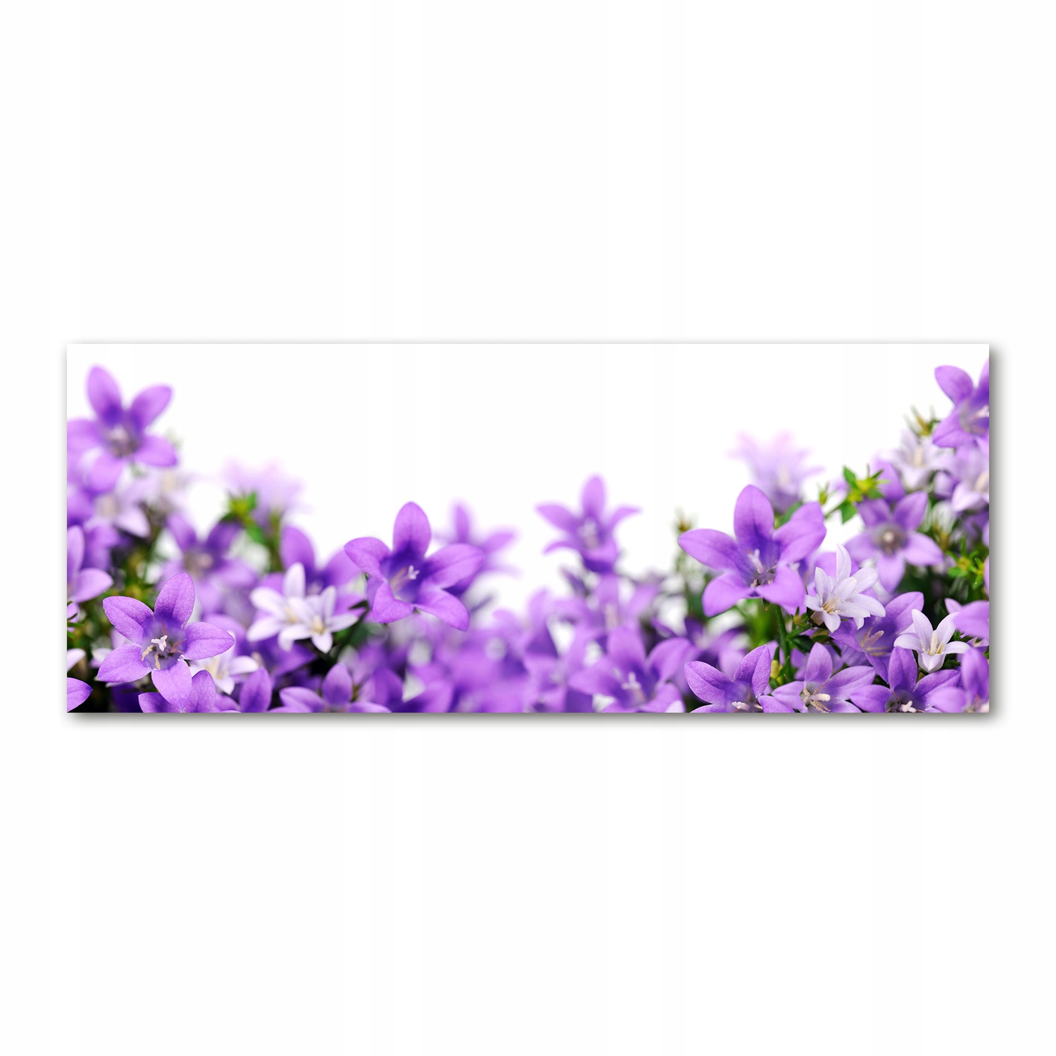 

Foto obraz szkło akryl Fioletowe dzwonki 125x50 cm