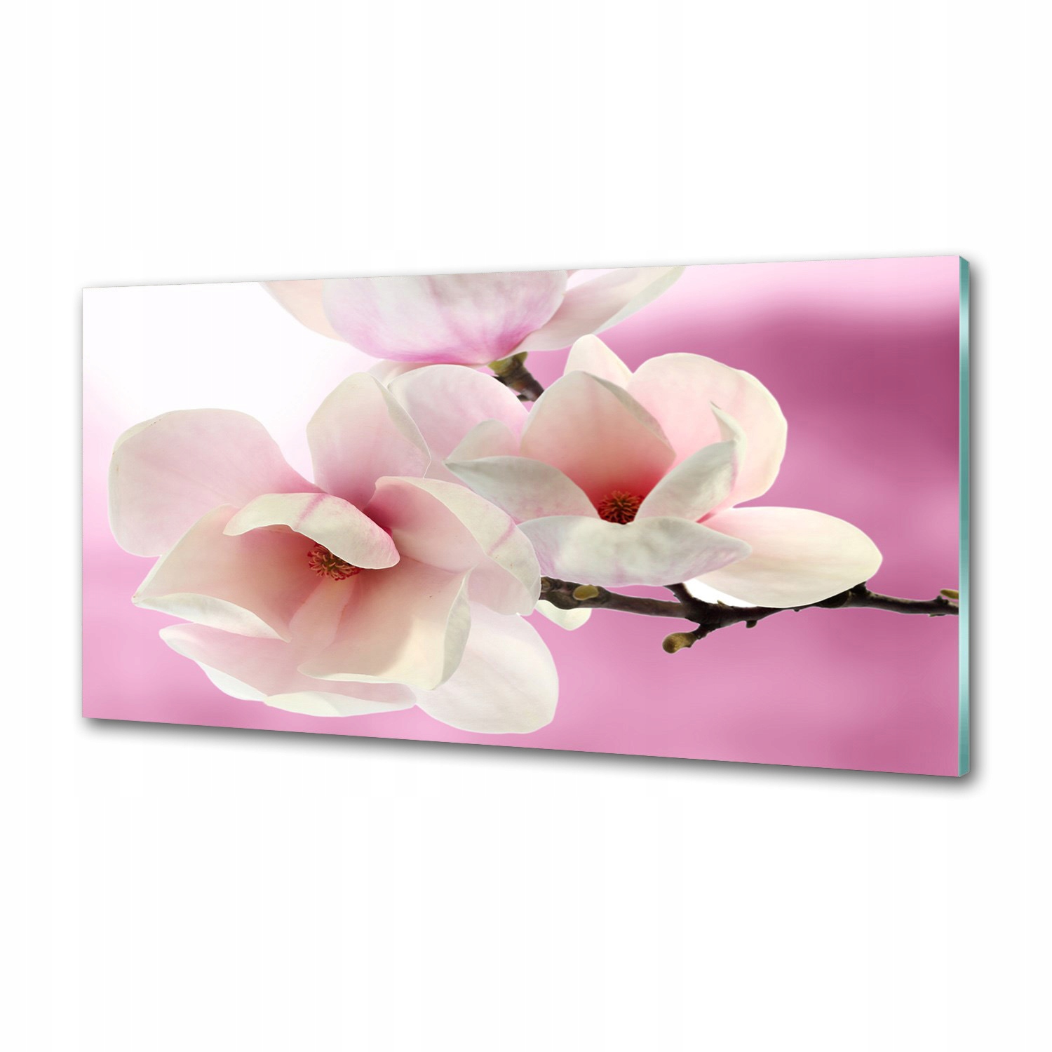 Panel mezi nábytkem v kuchyni Magnolie 100x50 Lepidlo