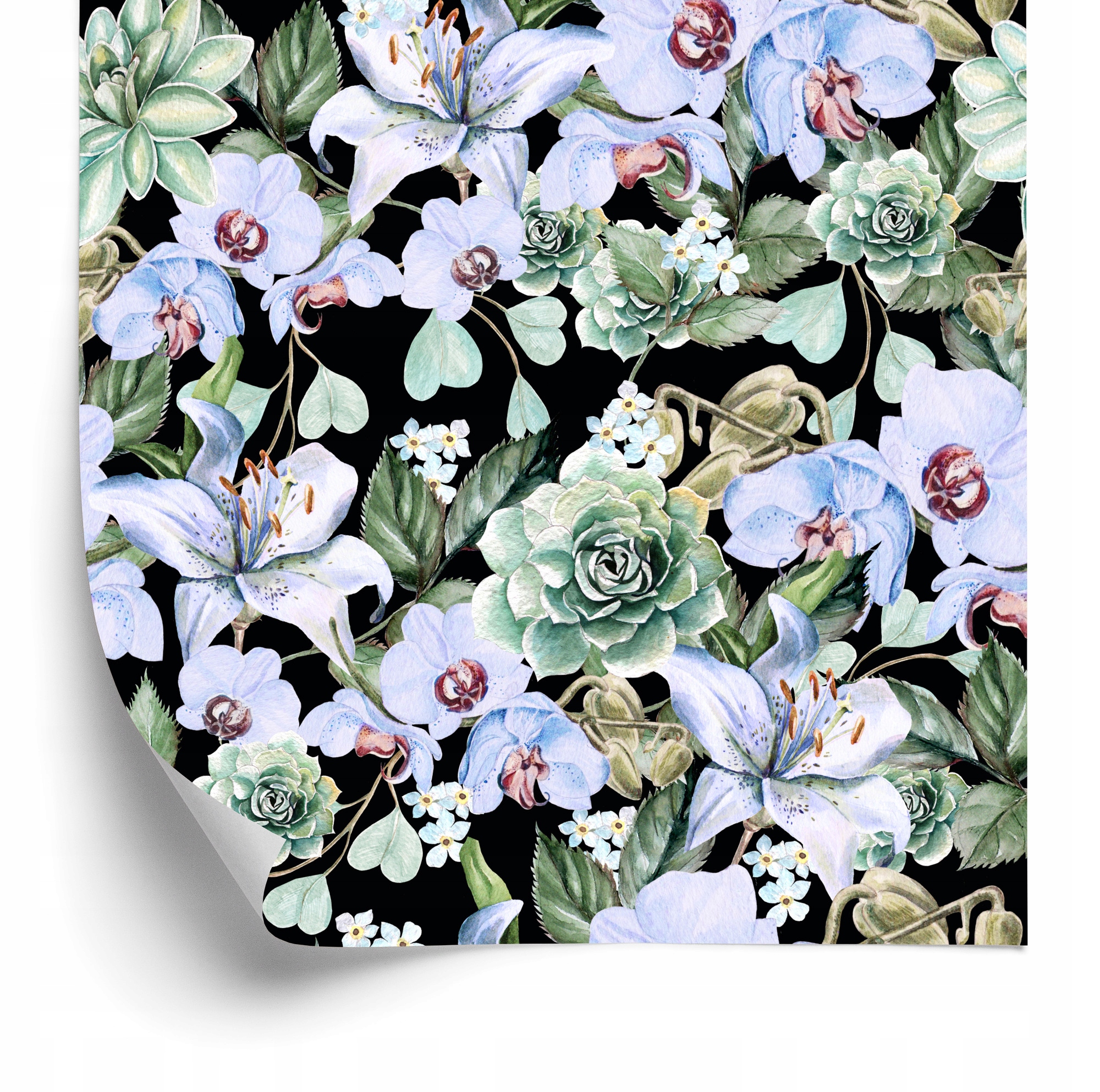 Tapeta Rastliny Príroda Orchidea Orchidey do obývačky 50x1000 cm