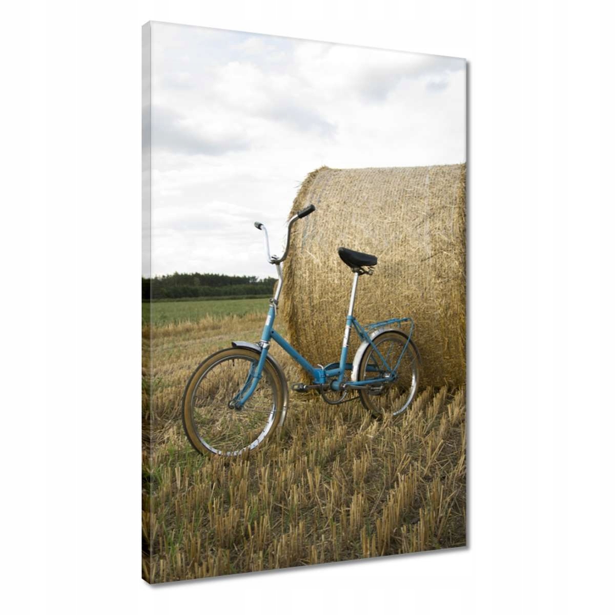 Obrazy 40x60 Wigry 3 PRL Rower Romet • Cena, Opinie • Obrazy ...