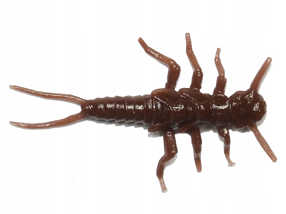 

FishUp Stonefly 0,75' 21mm Chaos #012