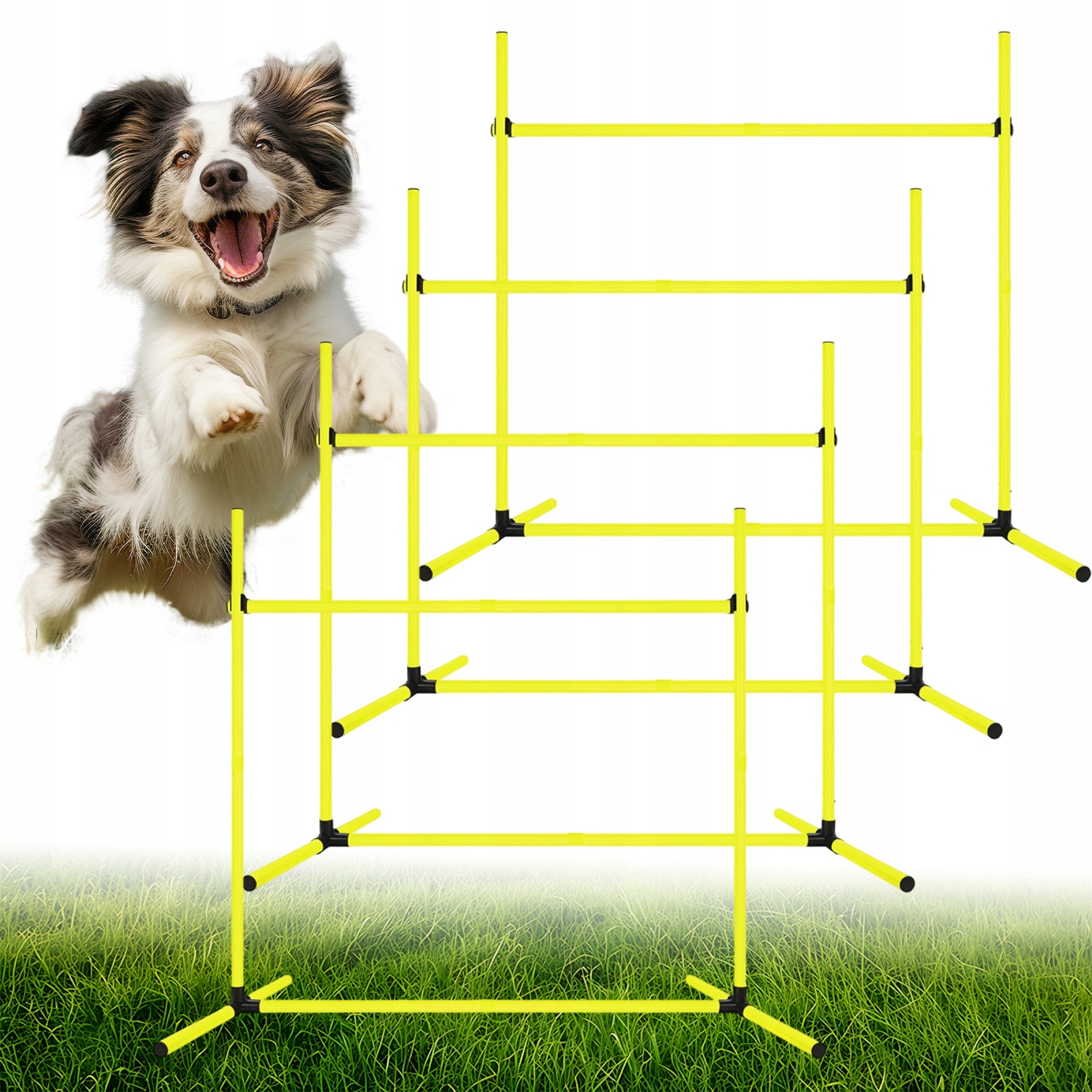Przeszkody Treningowe Agility Przenośne Do Domu Ogrodu Parku Dla Psów