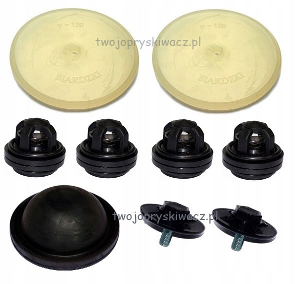 Zn2P120 - Комплект для ремонта насоса P120 Biardzki P-120