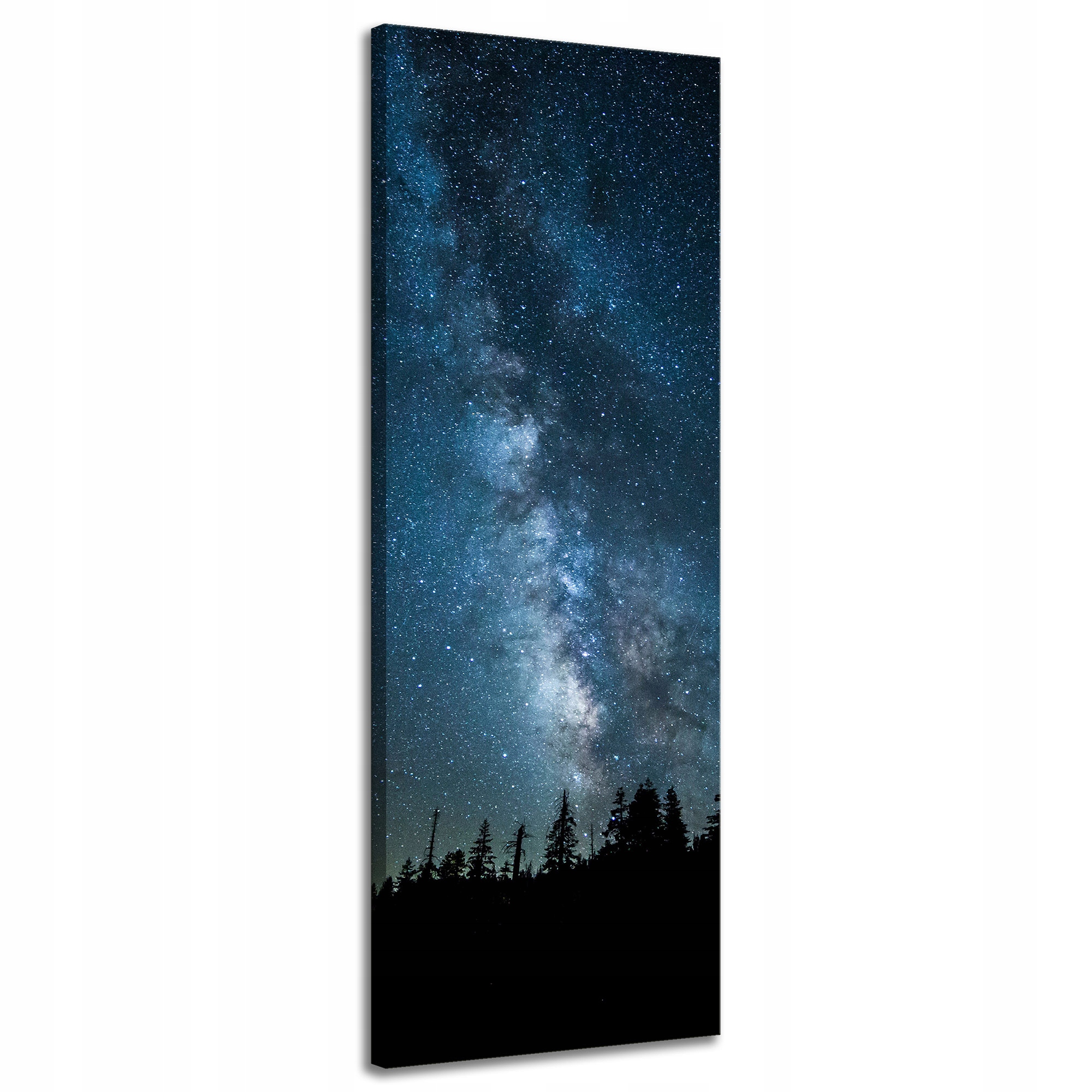 Obraz na plátně Vesmír Noc Les Mlhovina Příroda Astronomie 40x120